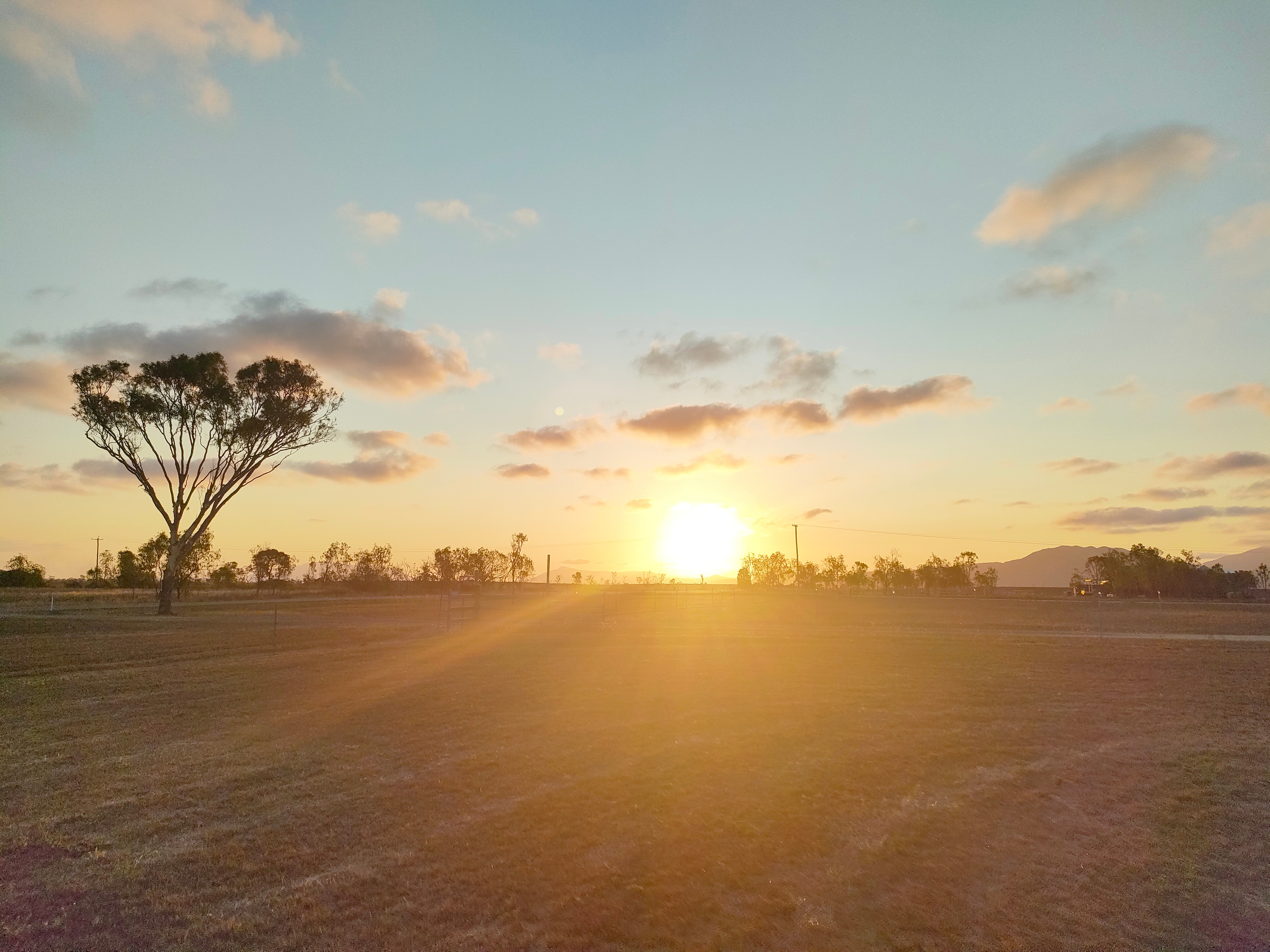Simple paddock at front of property, mowed and quiet location...friendly owner.