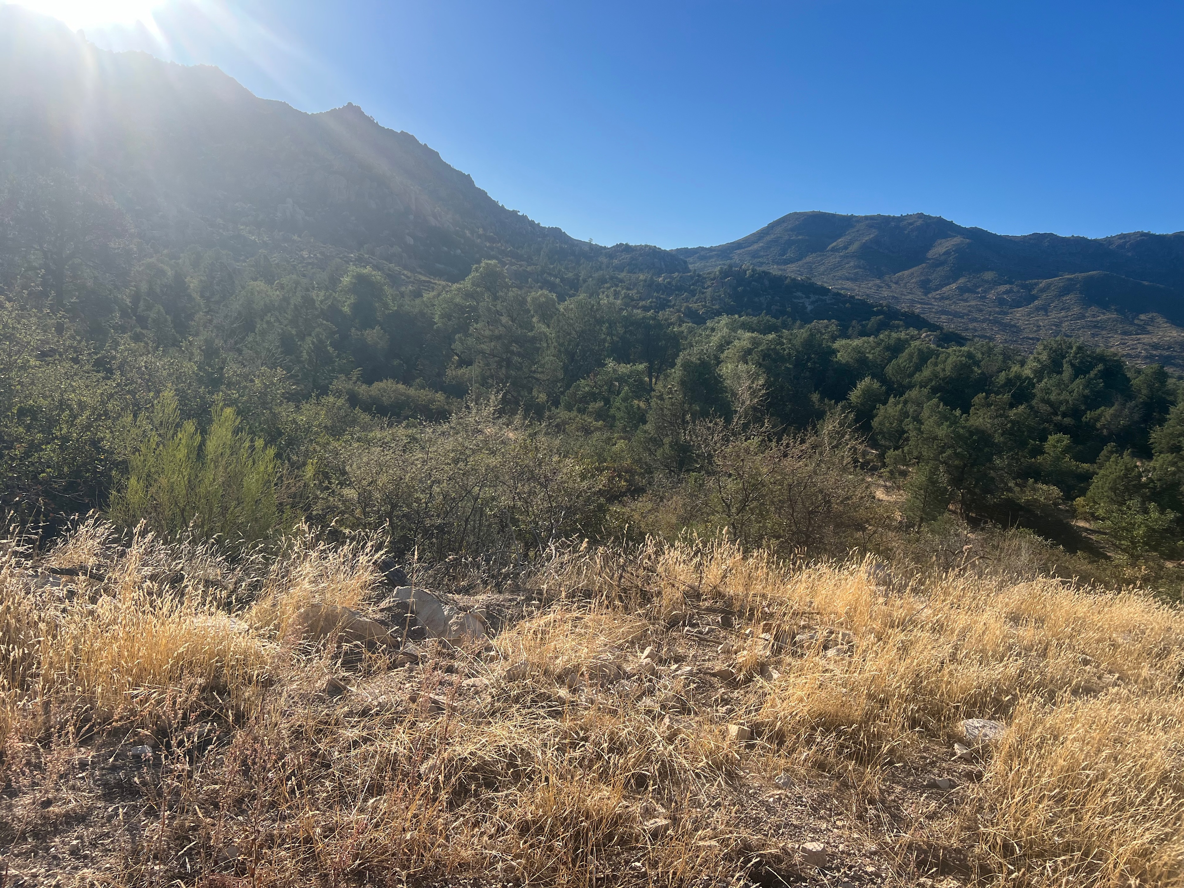 Top of the World RV Stop