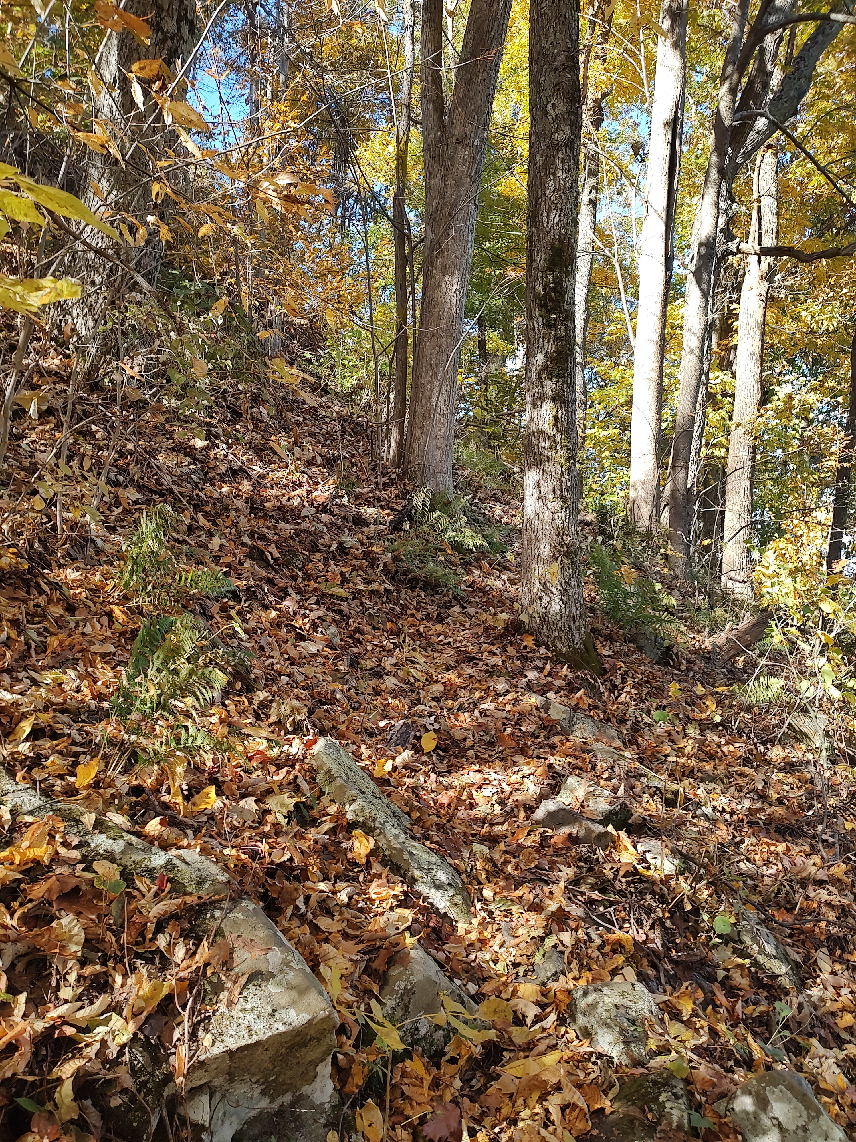  Wildcat Mountain Trail. Don't try to hike the whole trail unless you're in pretty darn good physical condition!