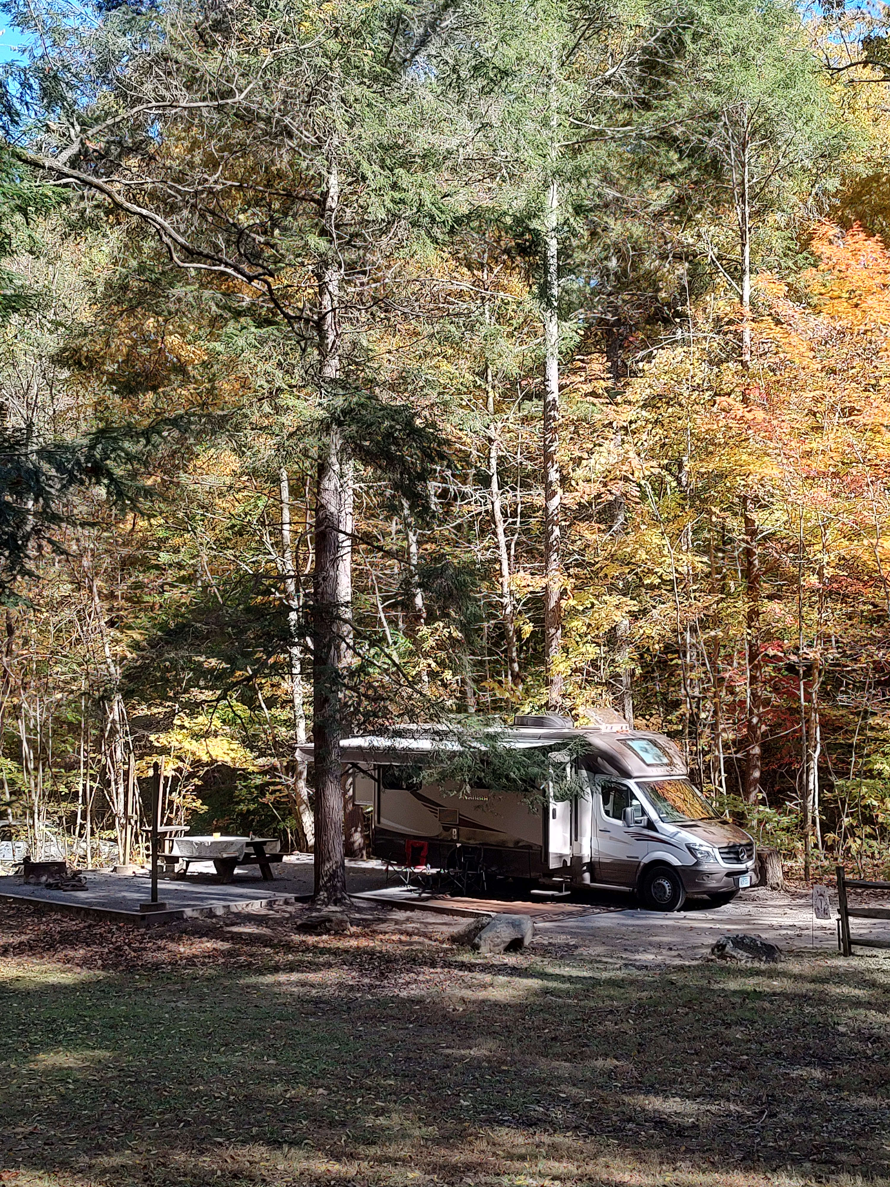 We had site 40. It looked more private on the NFS website pics than it actually is. If you're tent camping, I would grab site 35! 