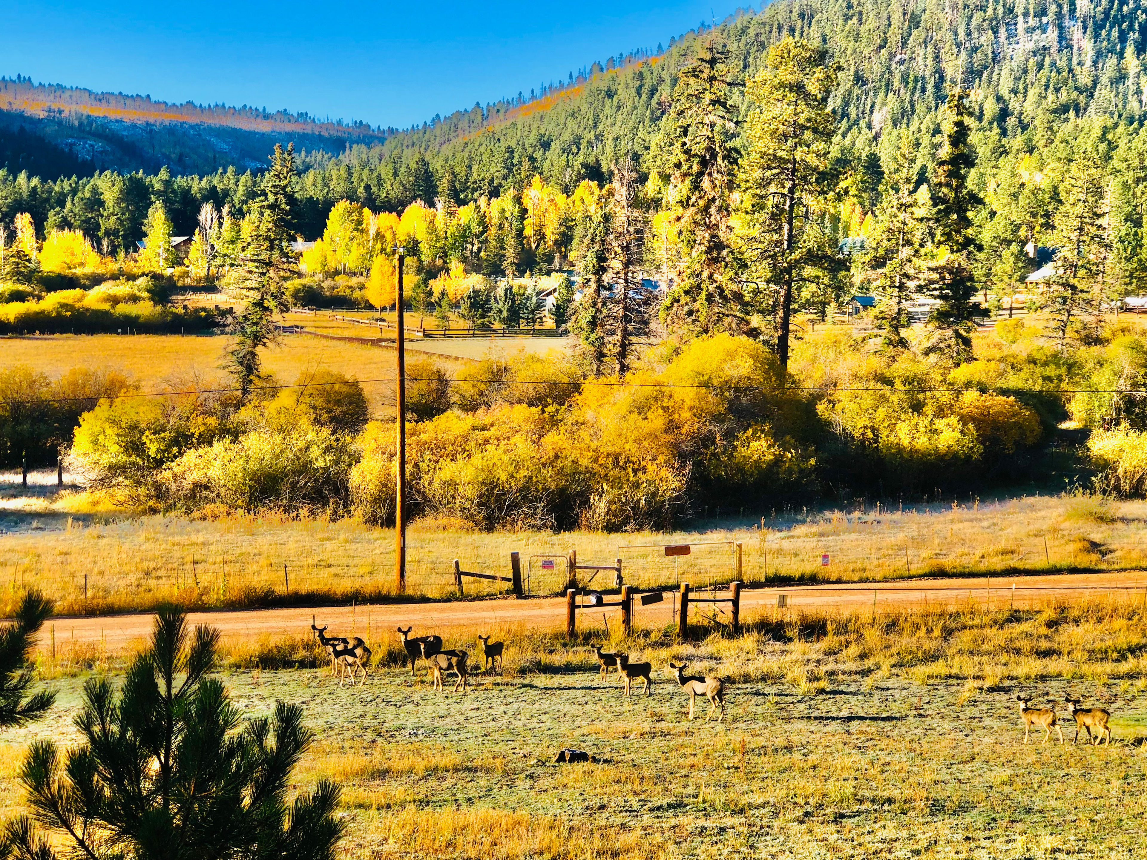 Meadowdust Ranch LLC