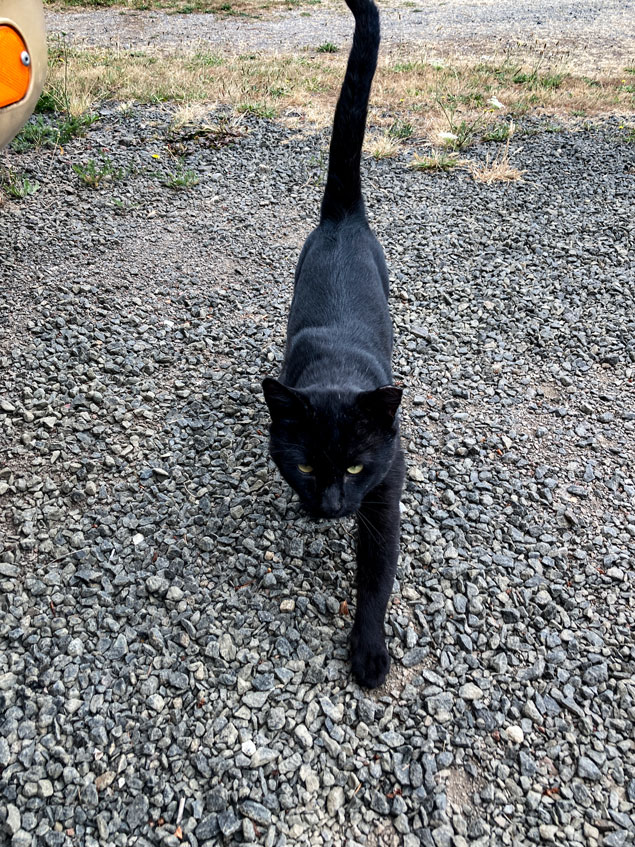 Octovus Waterfront Paradise