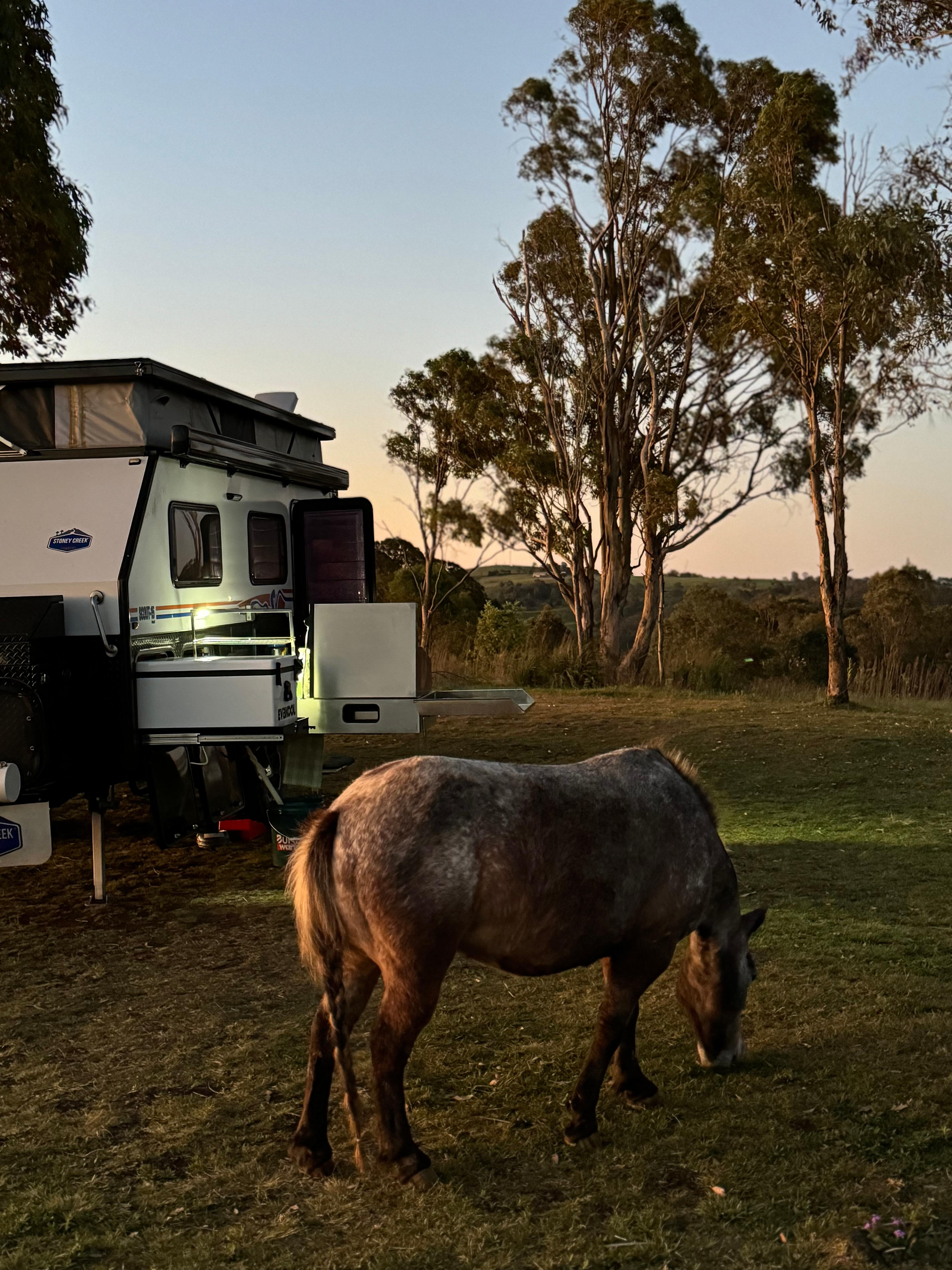 Hilltop Farm, Camping and Glamping.