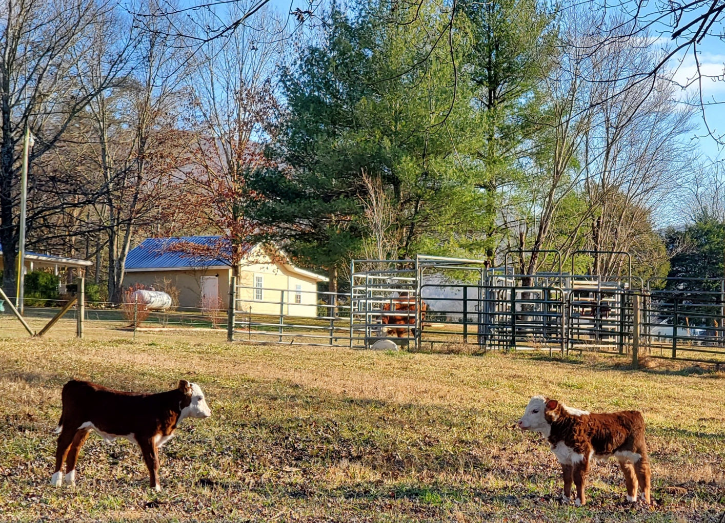 Mountain View RV Pad and Tent Site