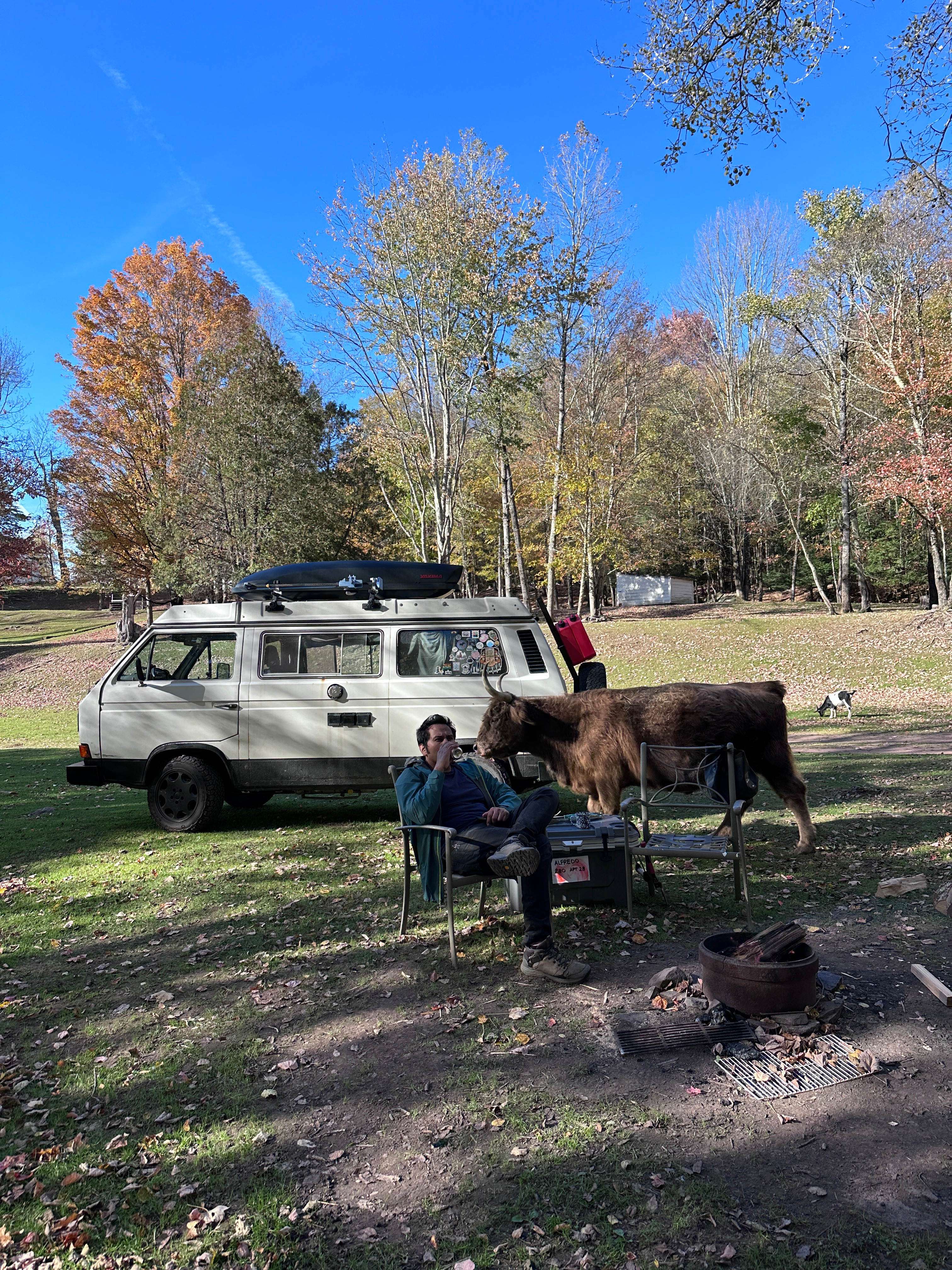 BeaverWood Farm (no children)