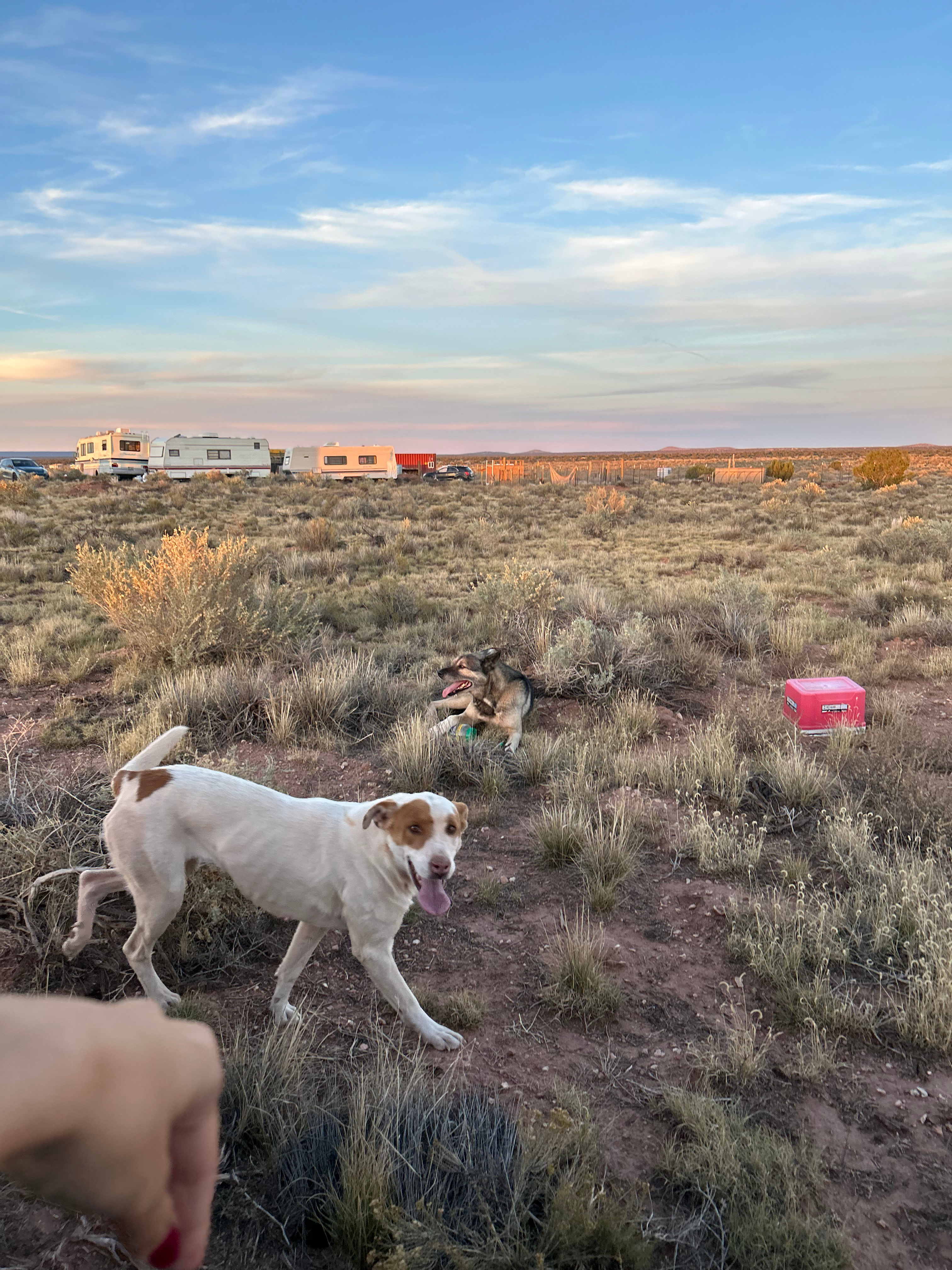 Peaceful Experience Ranch 🌄😍