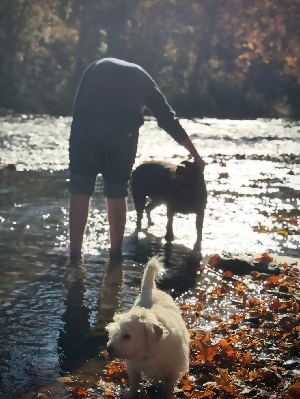 Shirley's River Retreat