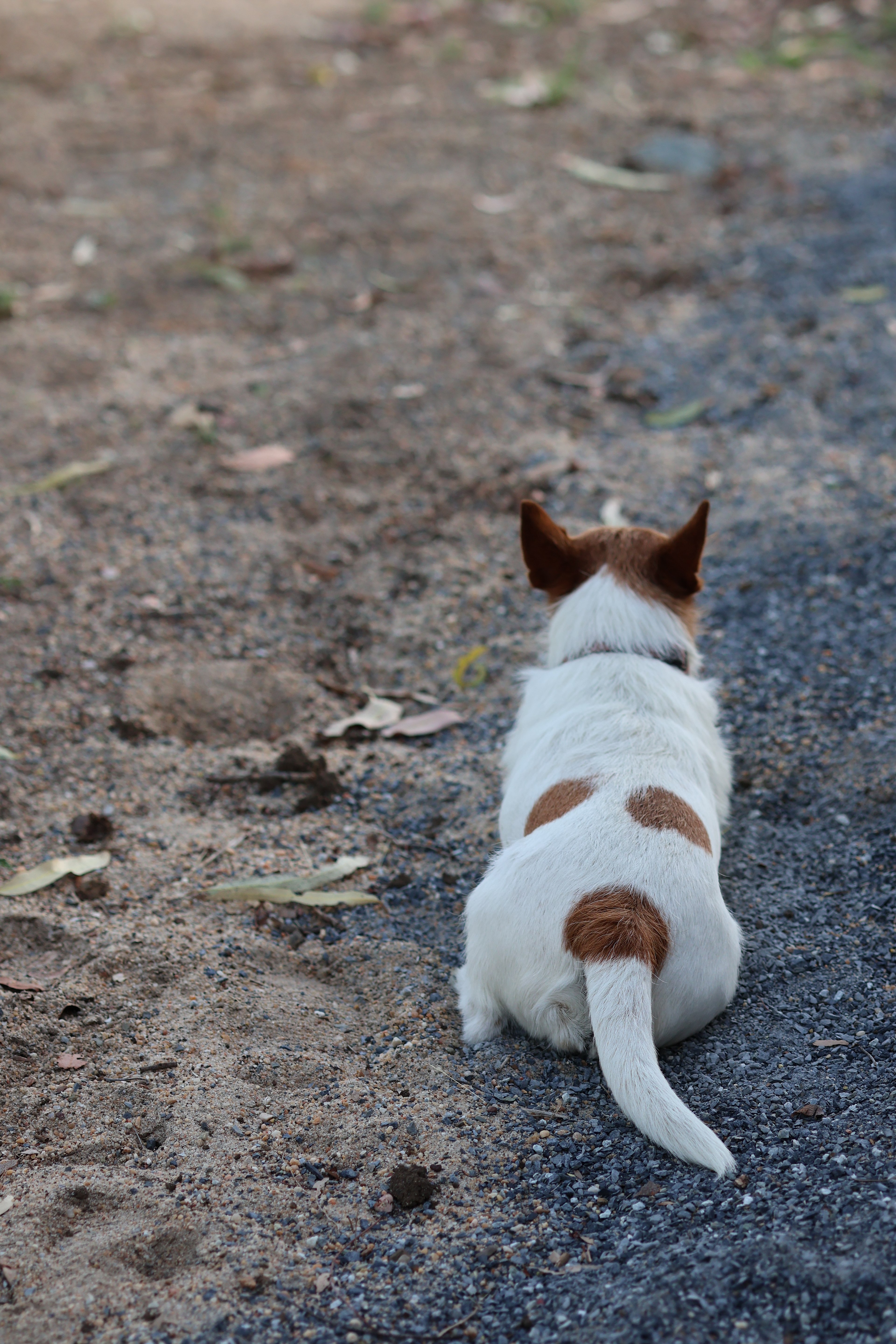 Laurel Bank Farm laurel-bank.com.au