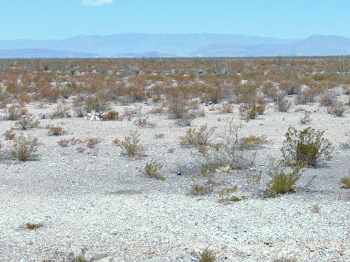 Redd woolf Camp