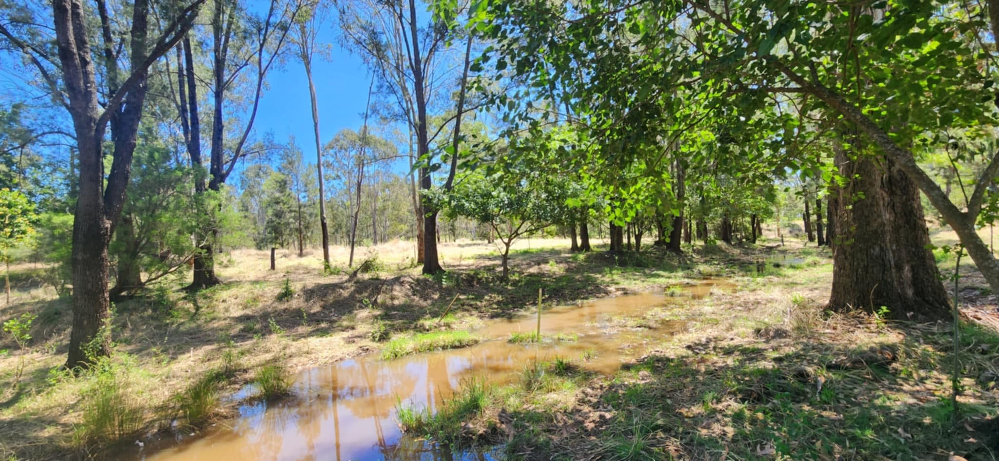 Camp By The Billabong