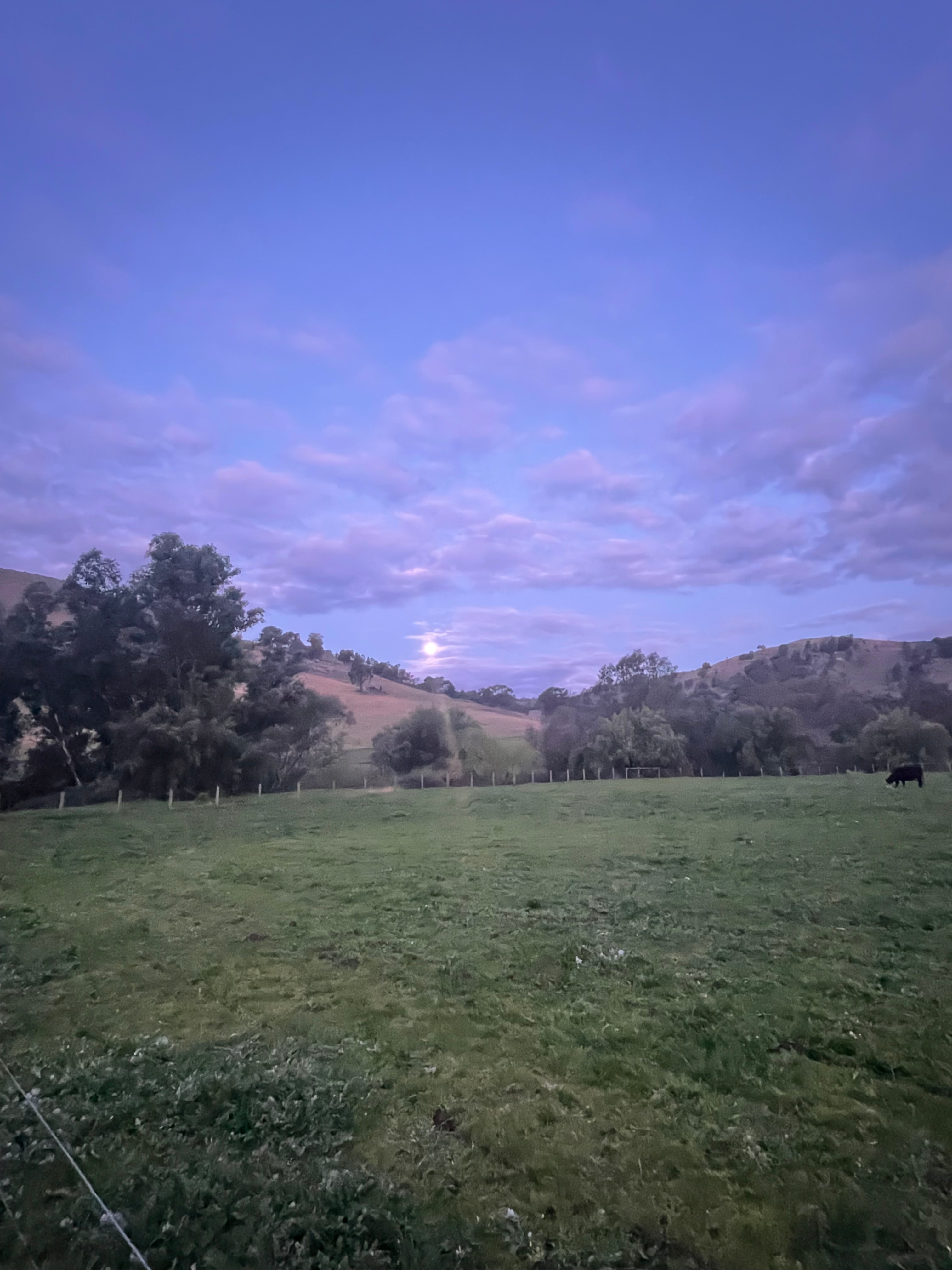 Full moon rising