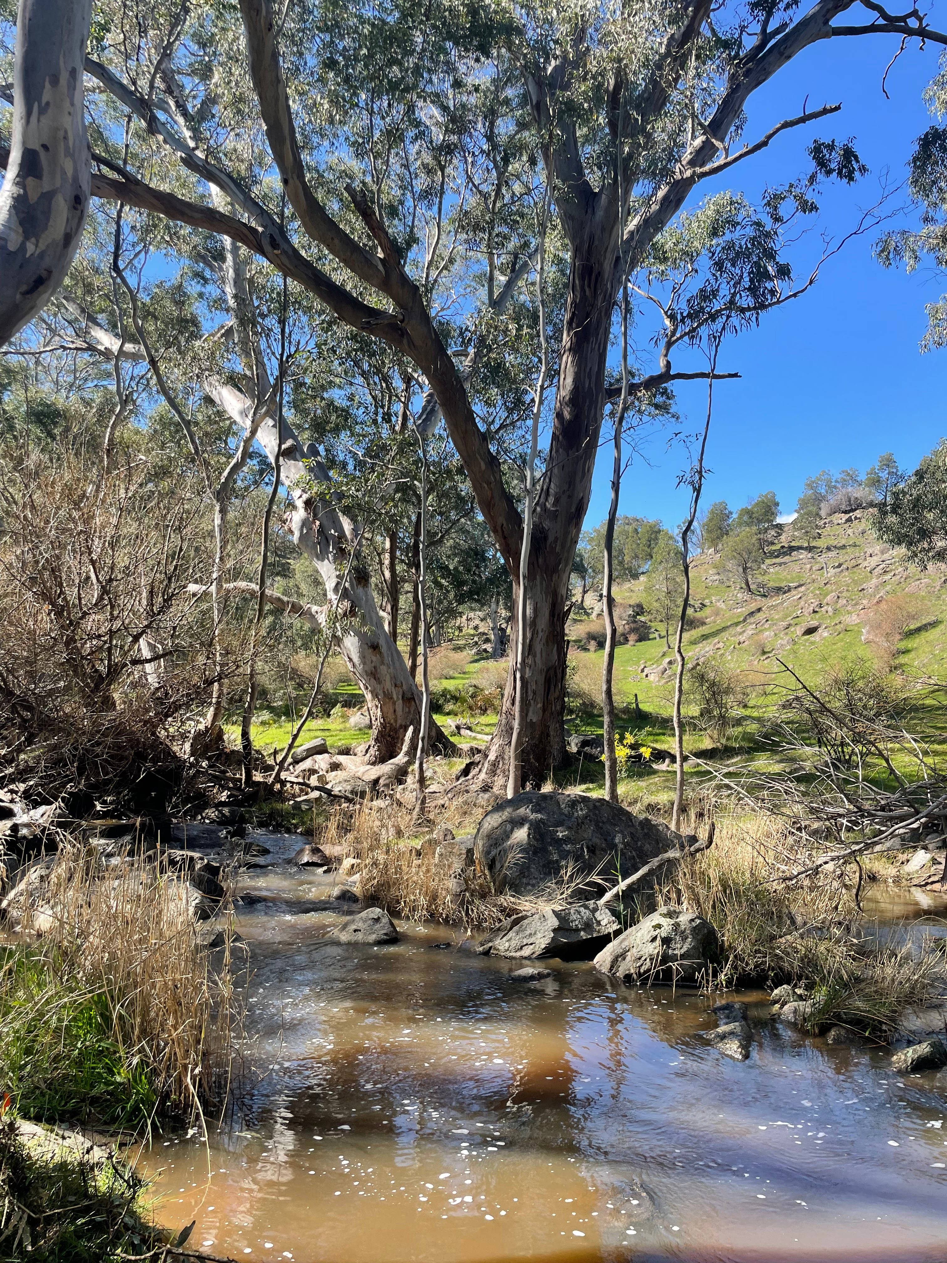 Glenmaye Farm – Creekside Camping