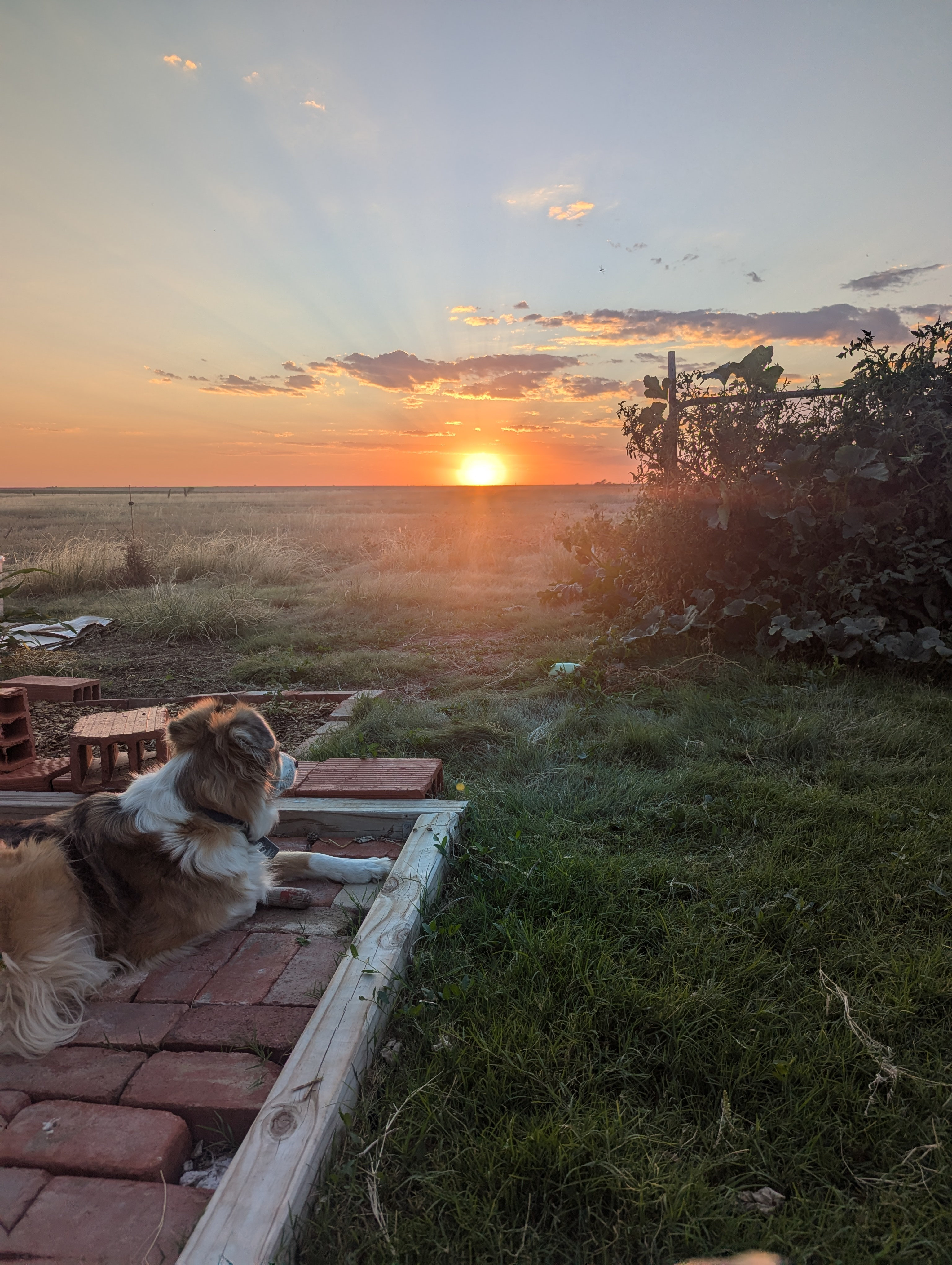 Secluded 360 views in Happy Texas