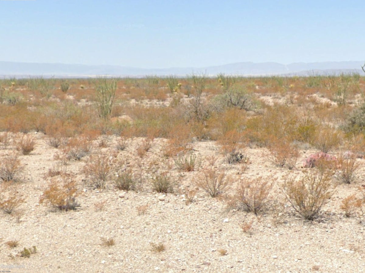 Redd woolf Camp