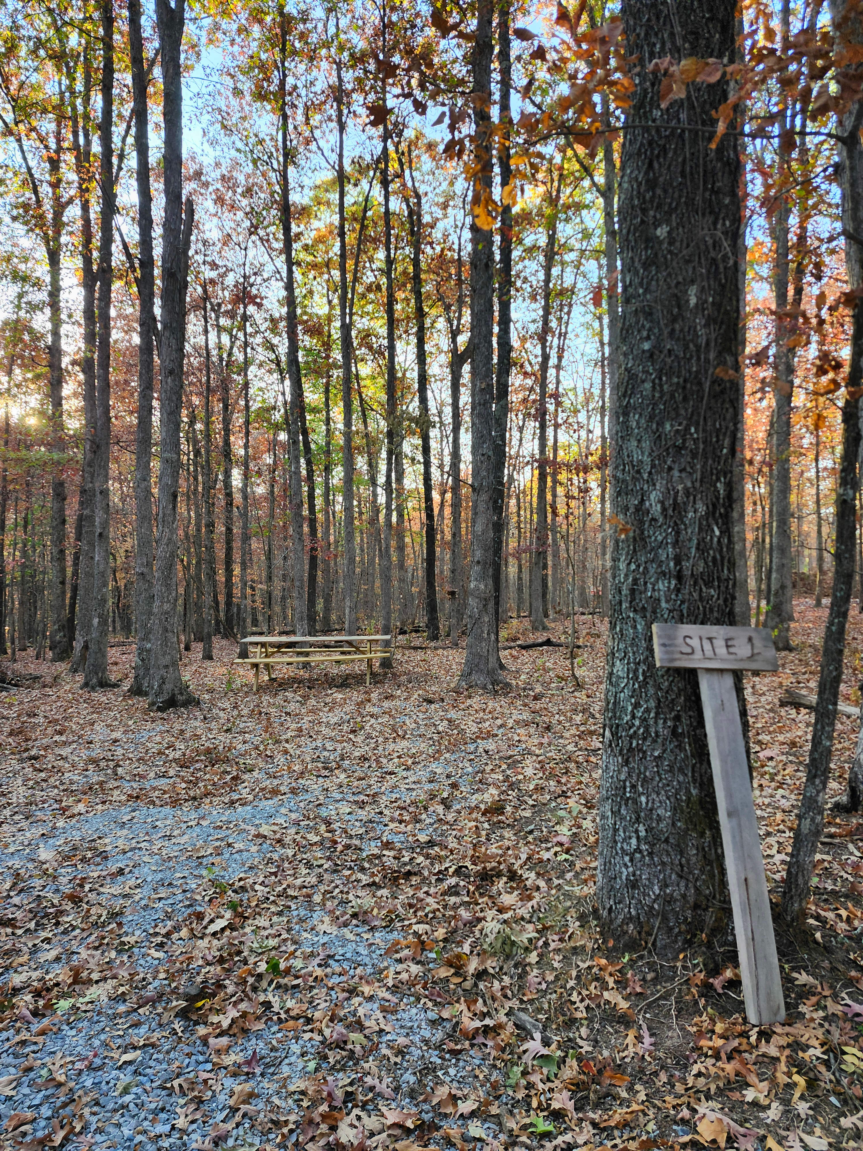 Secluded Camp near Buffalo River