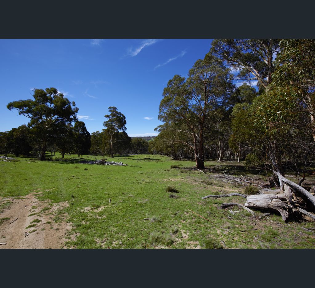 The Wombat Farm Jindabyne