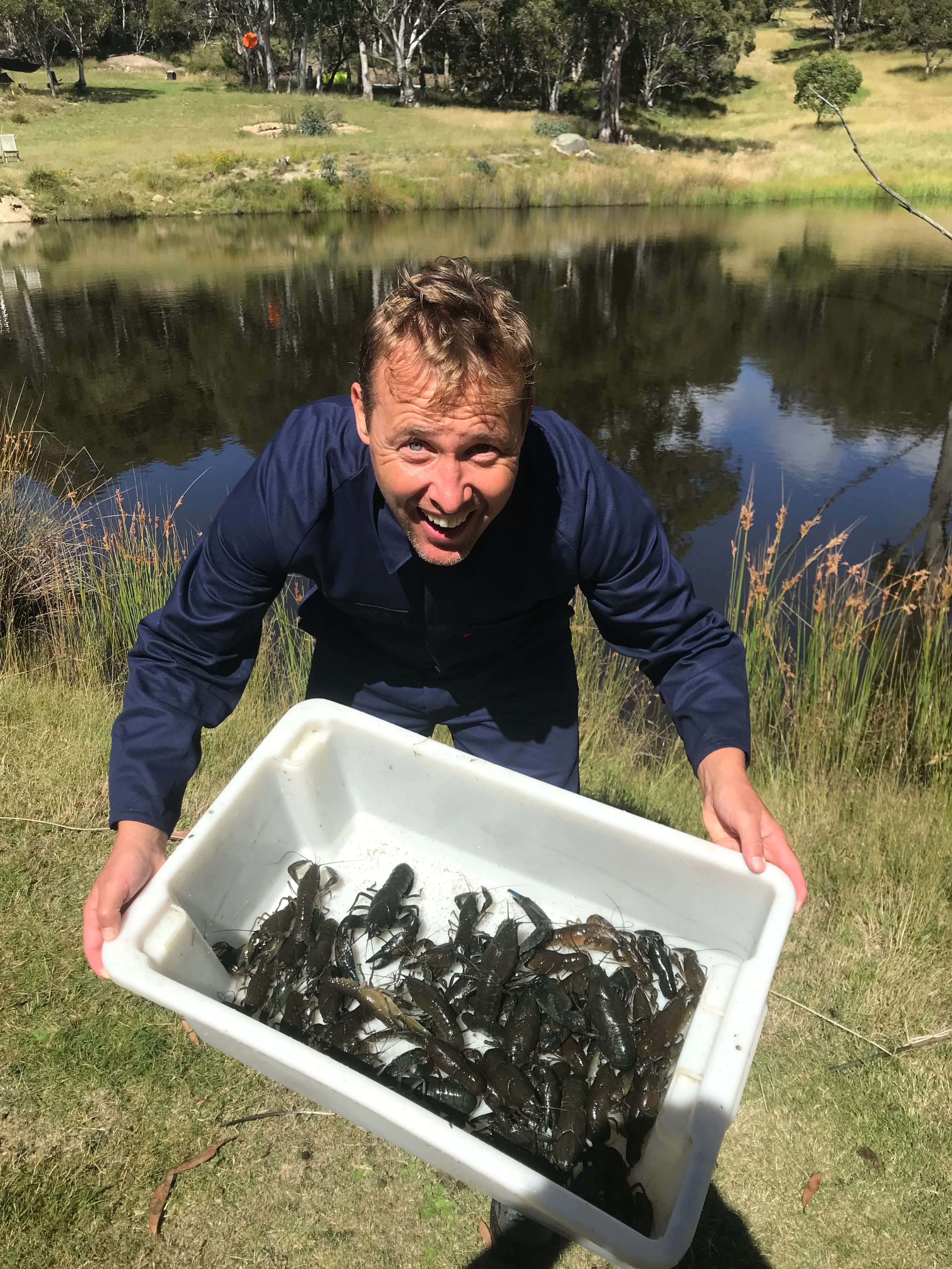 Plenty of yabbies in the dams 