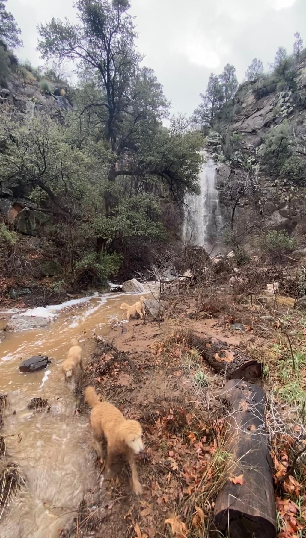 Ash Creek: Canyon Views & History