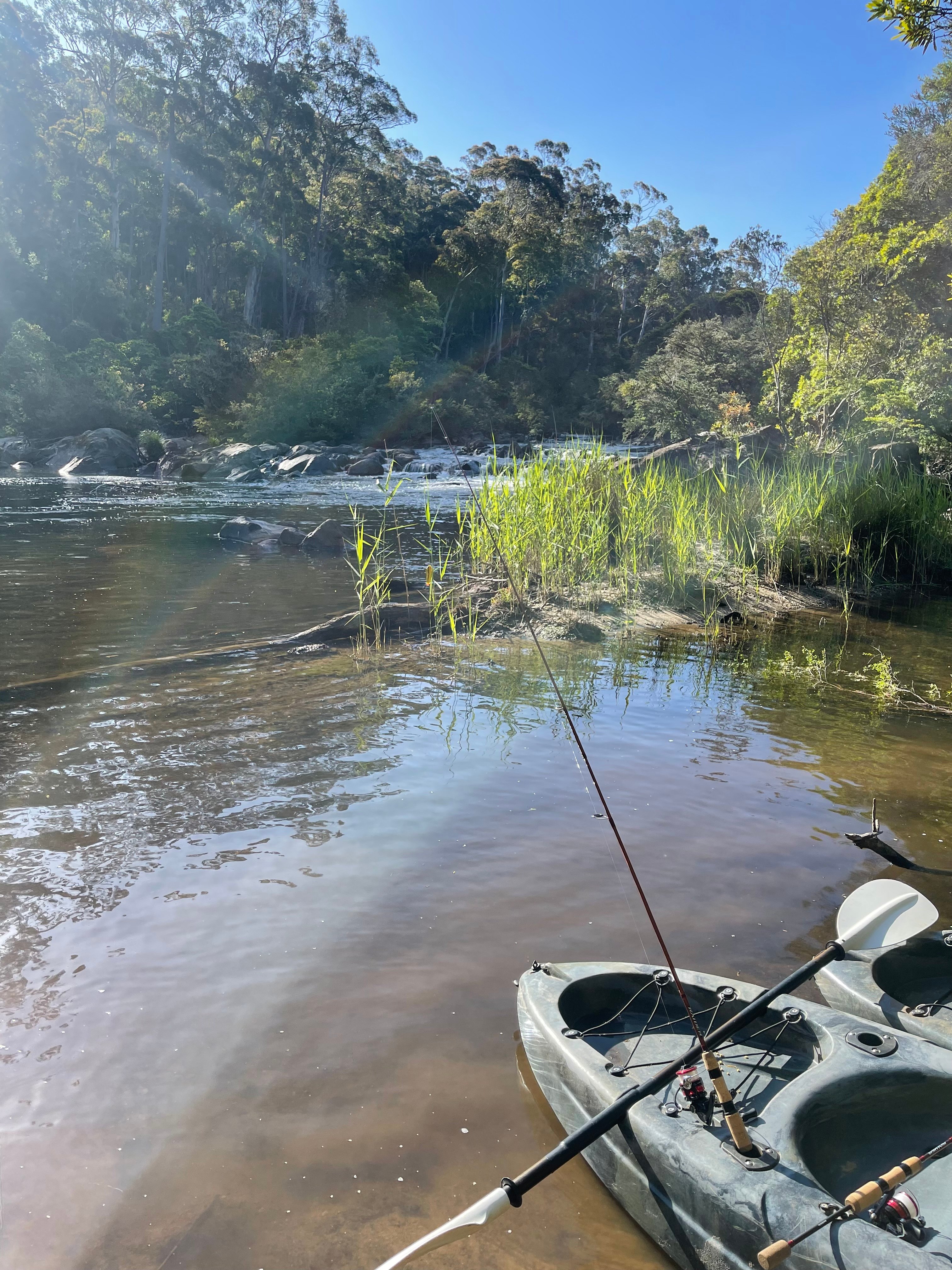 The Old Blackwood Mill