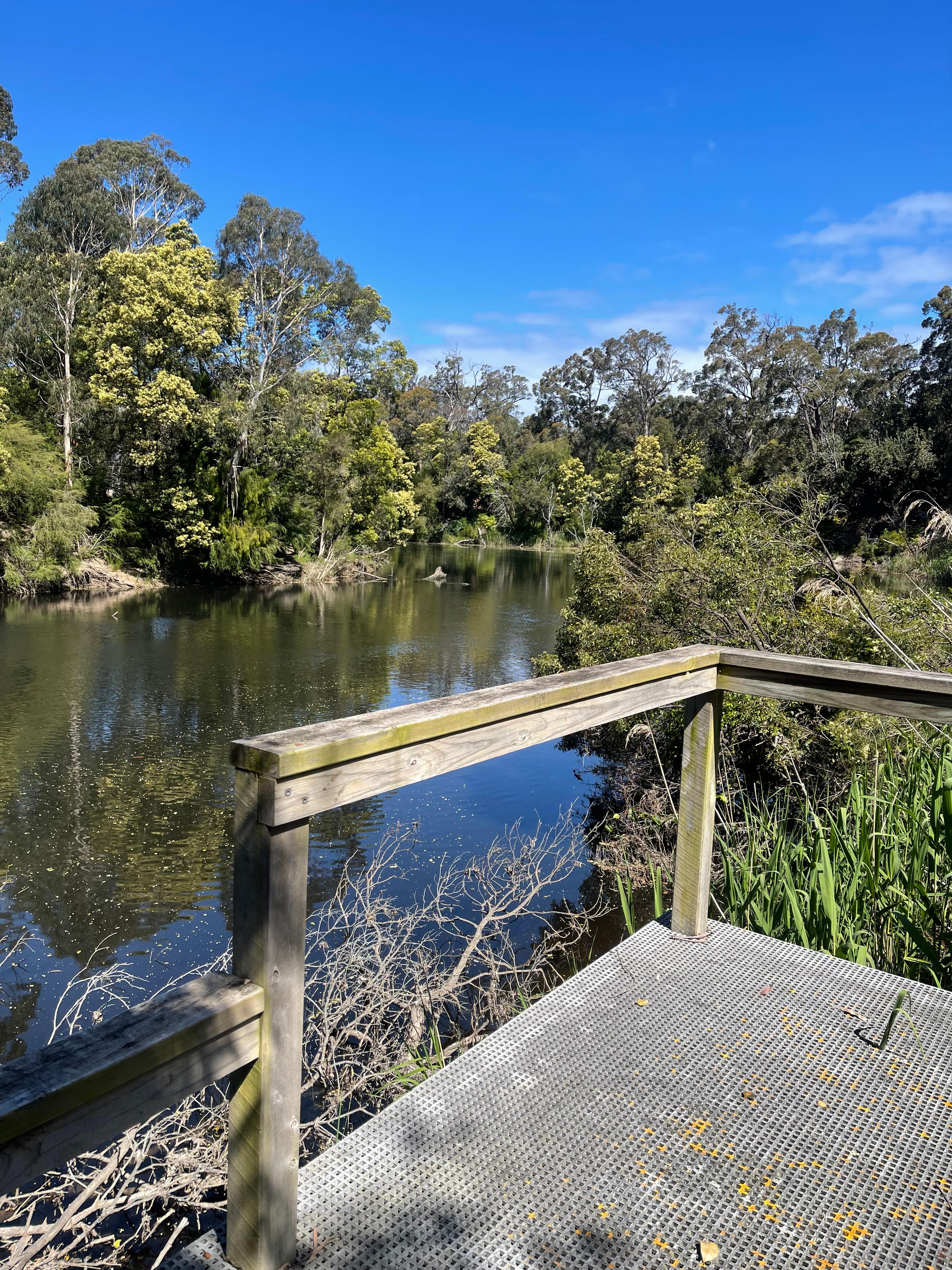 The Old Blackwood Mill