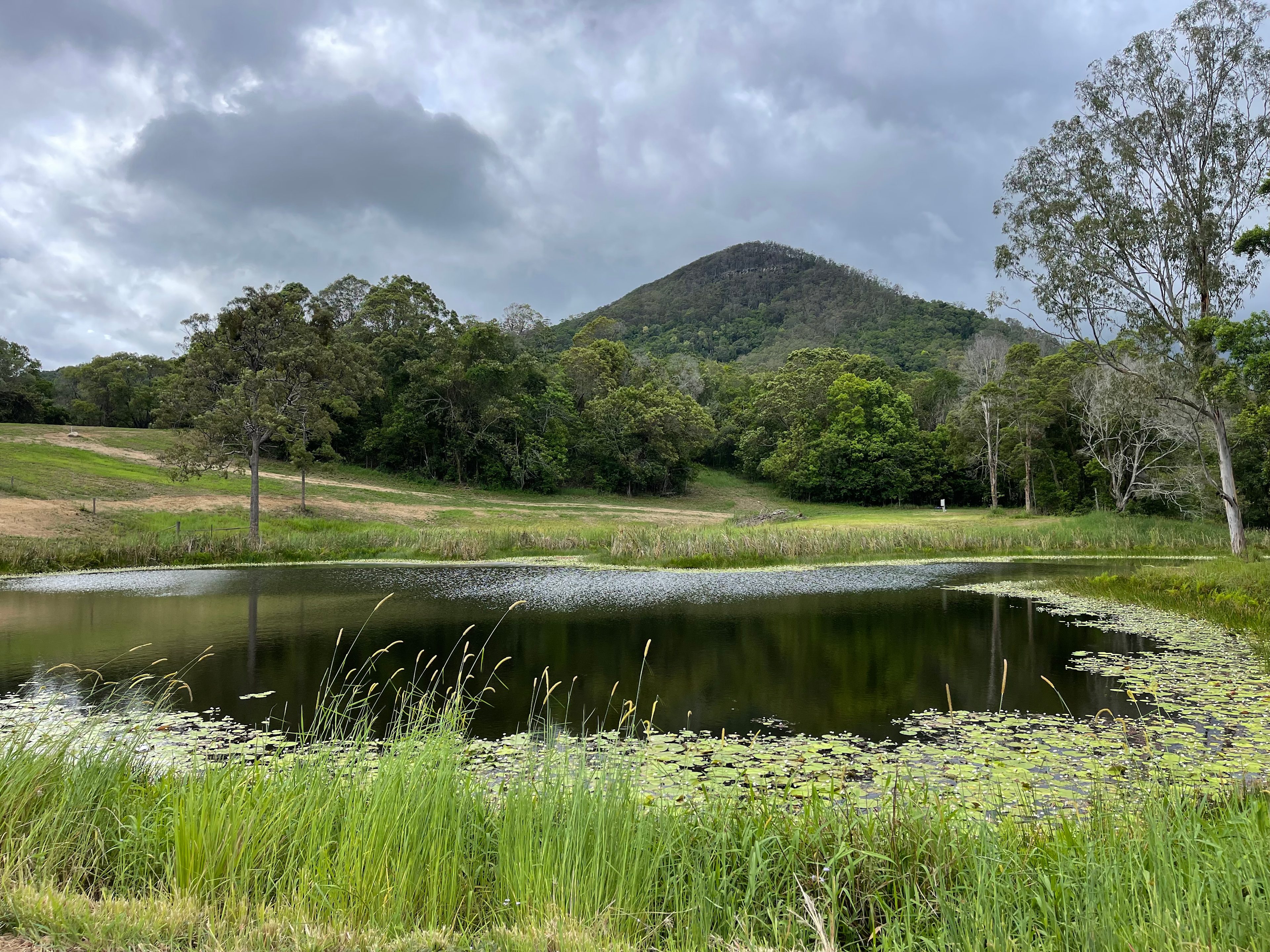 Eerwah Vale Mountain Park Noosa