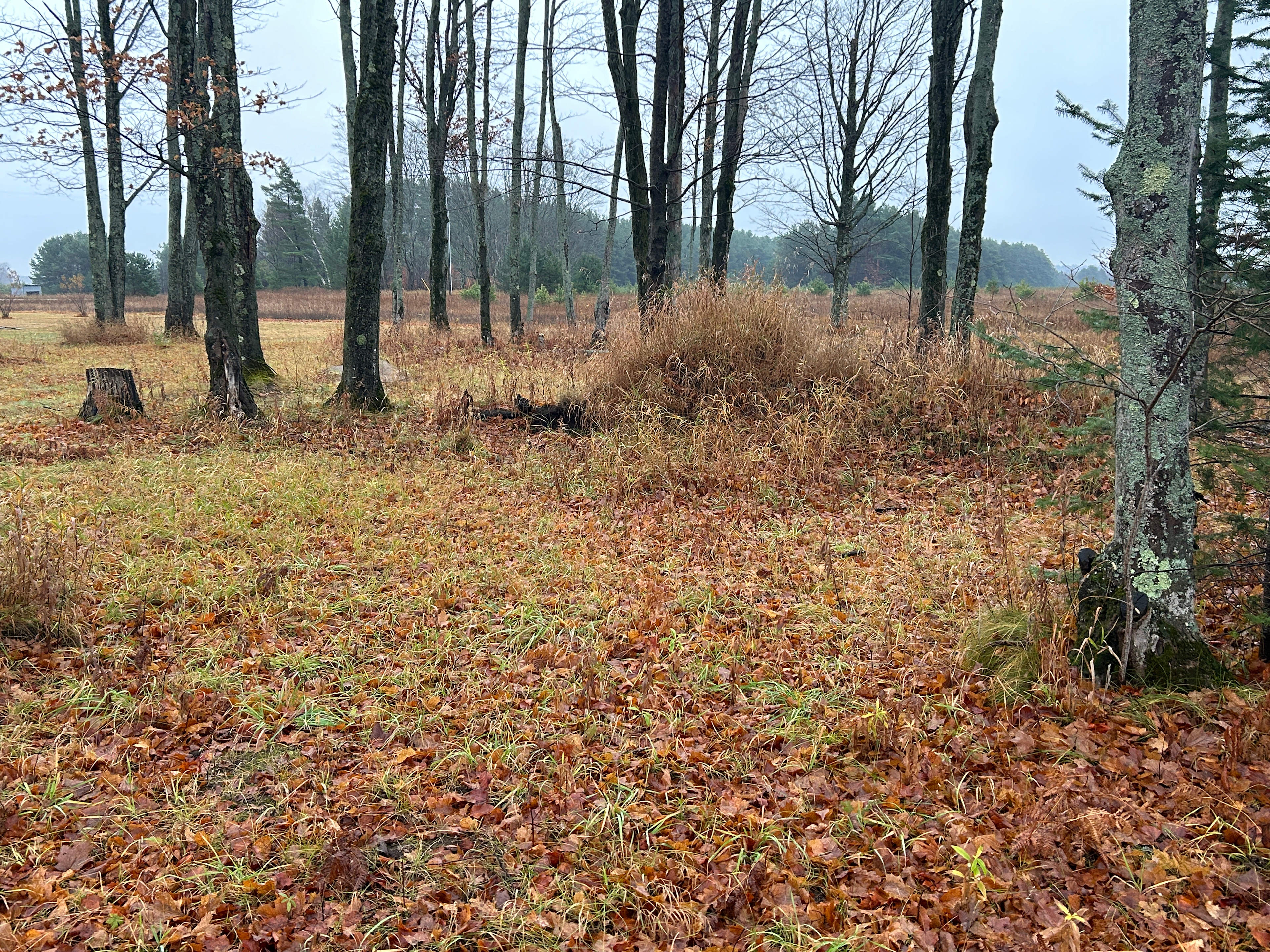 Serene sites on 3+ Acres