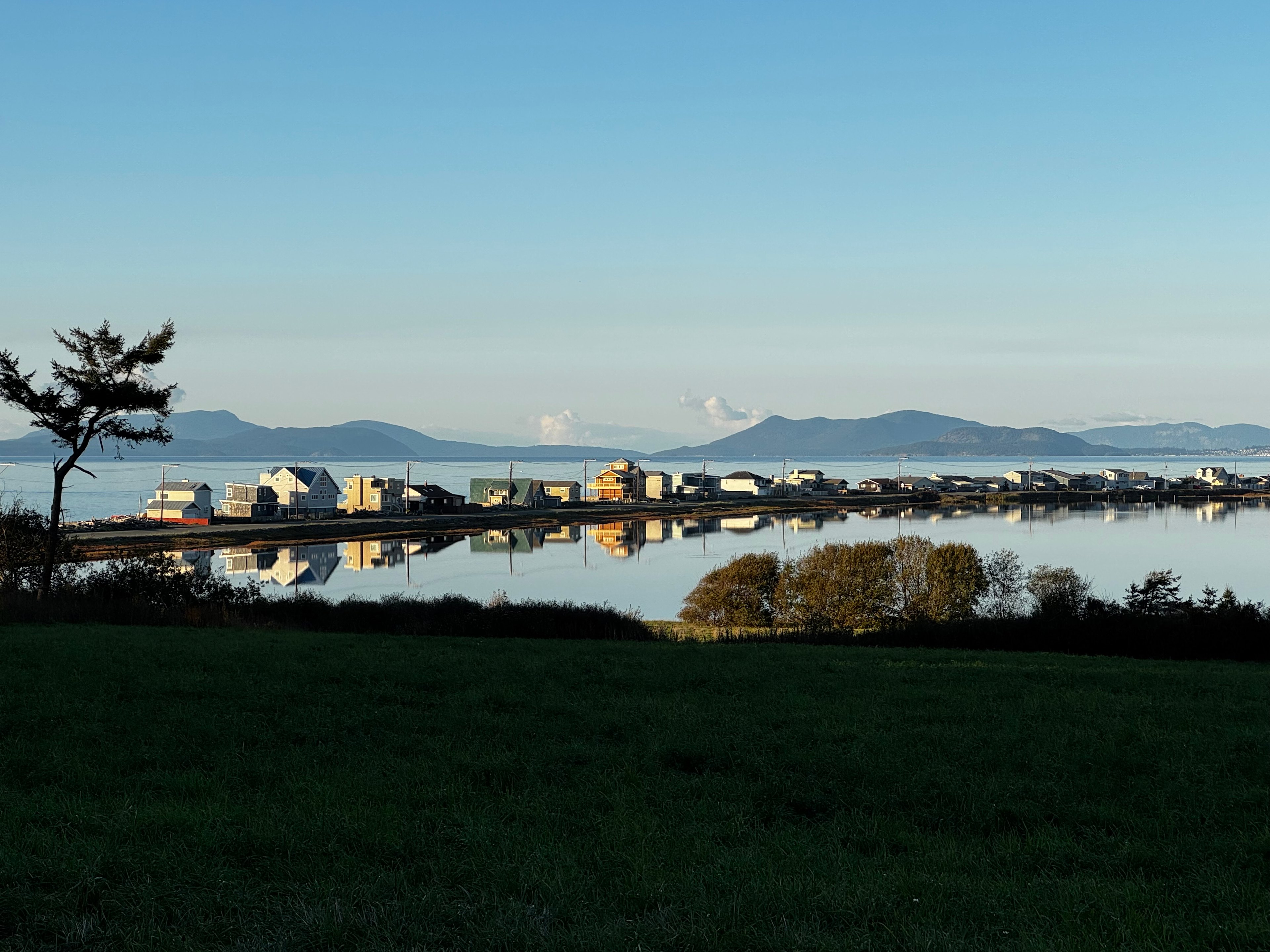 Whidbey Highland Farm