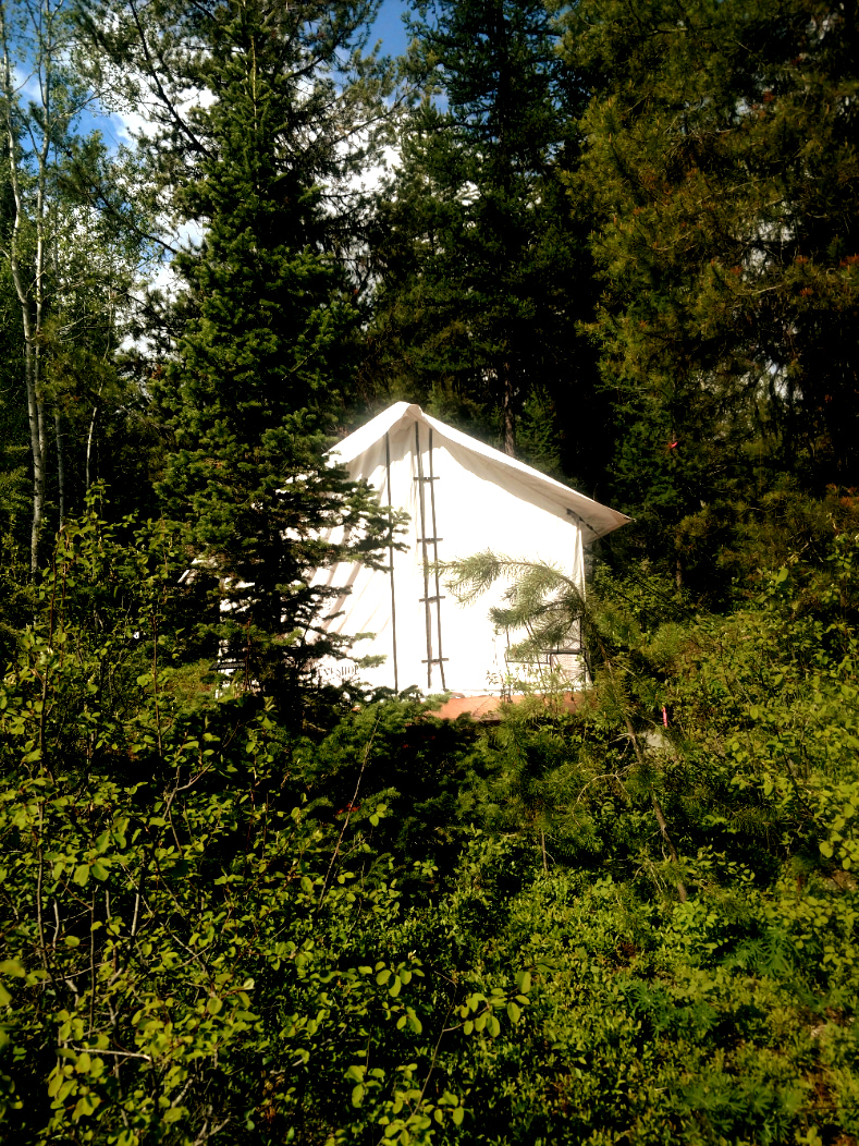 Glamping tents  near Polebridge