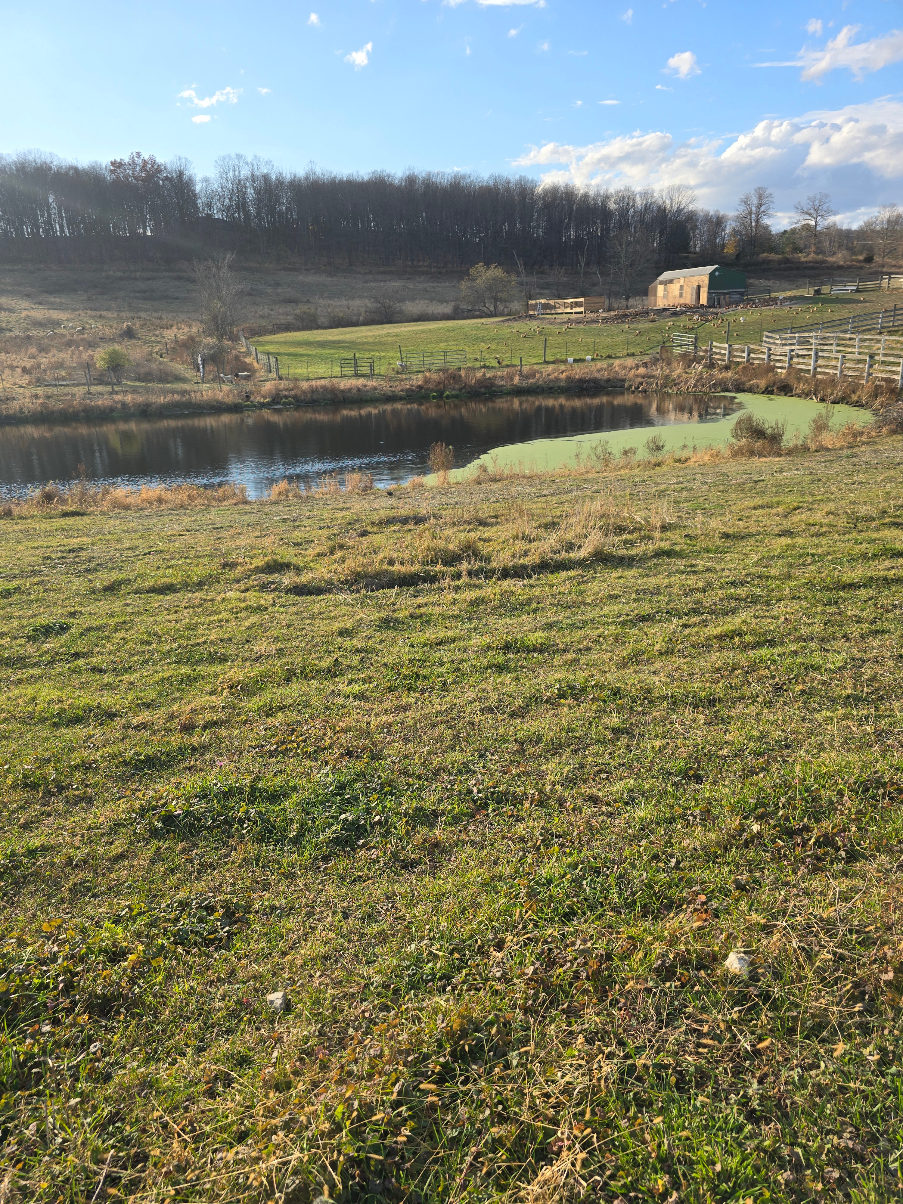 Farm Life and Countryside
