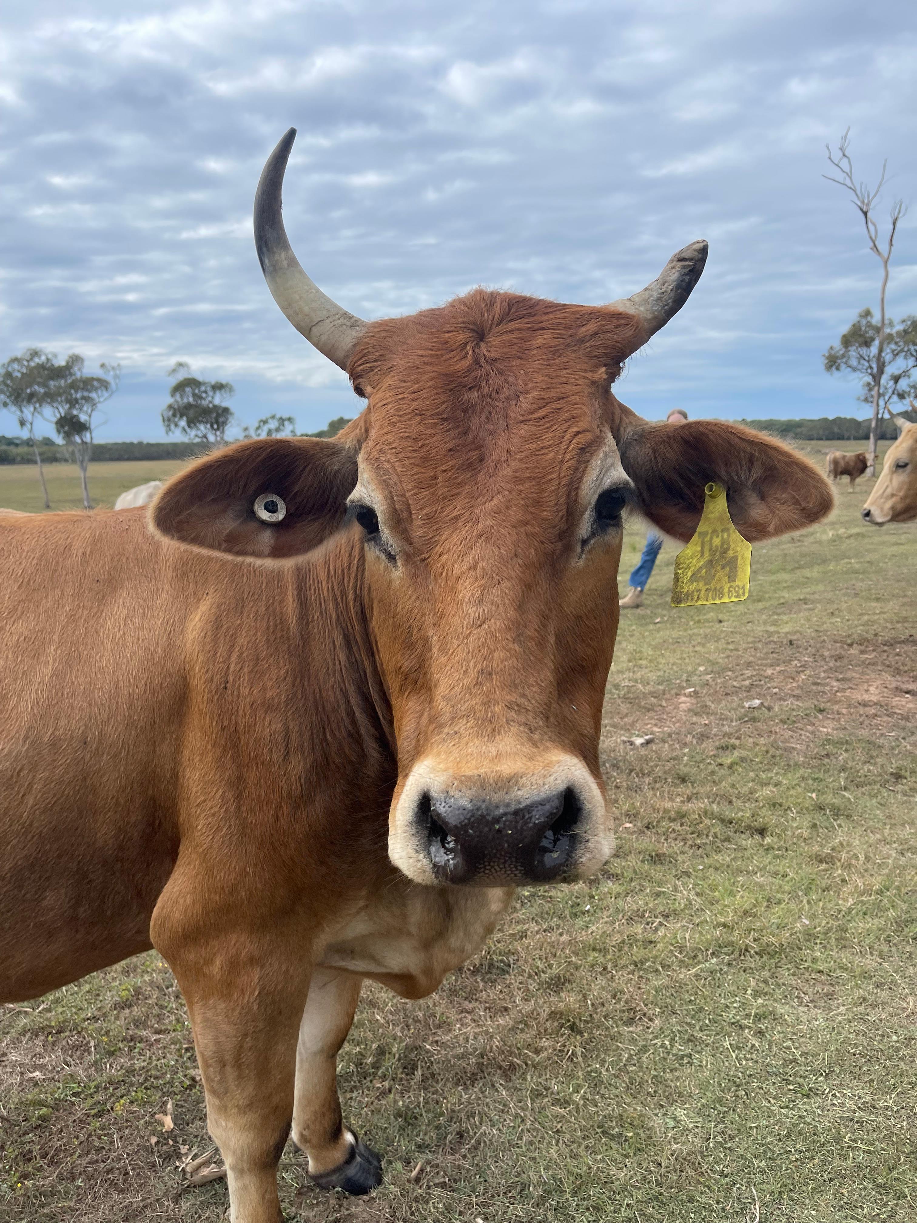 Breathe At Rules Beach