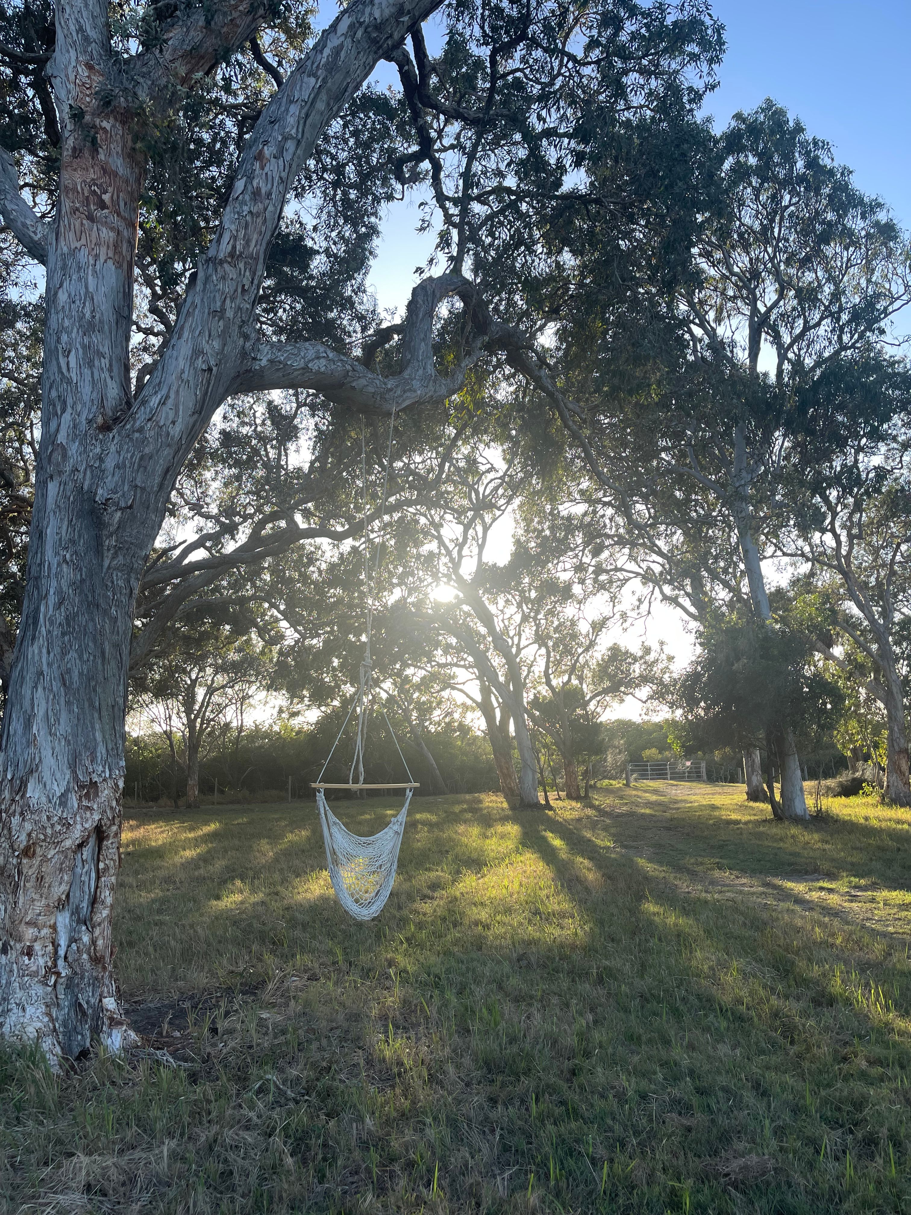 Breathe At Rules Beach