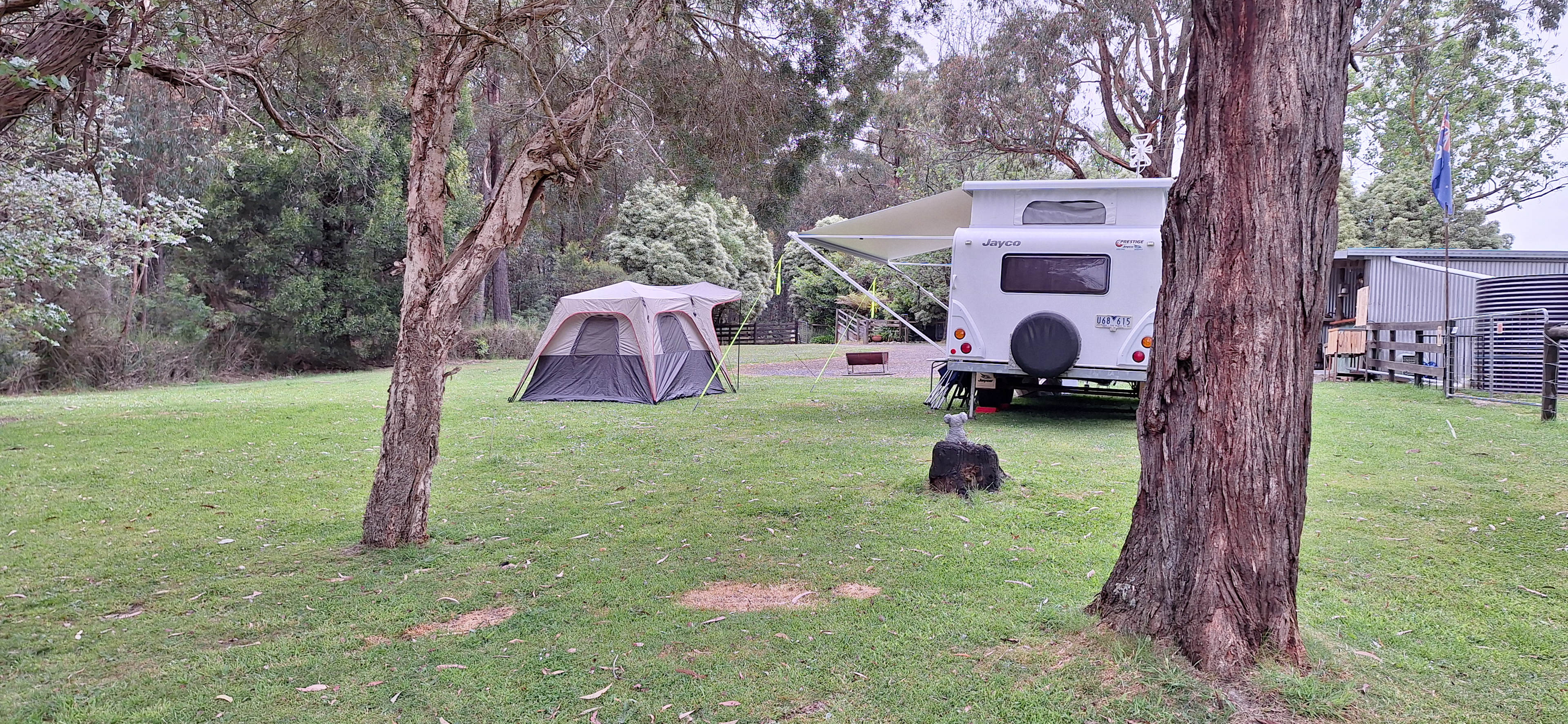 Millers Farm "The Hills are alive"