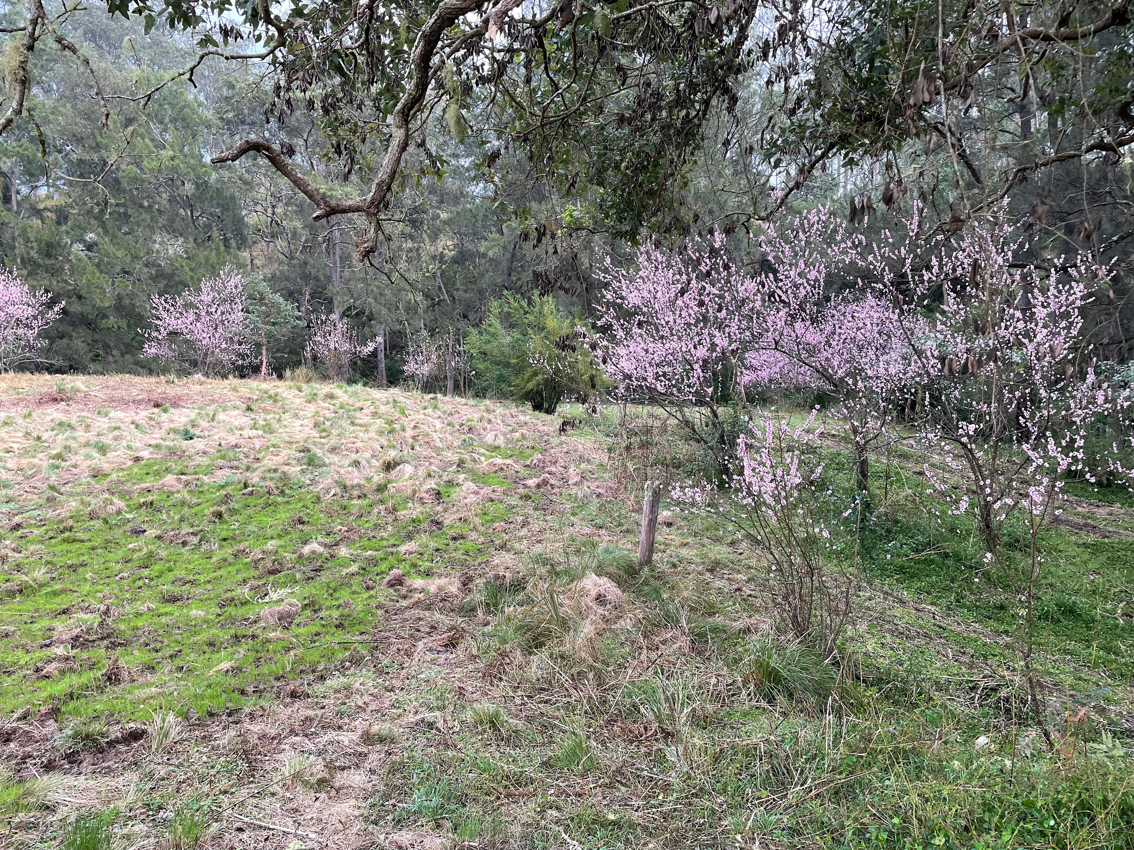 Creek Side Campground