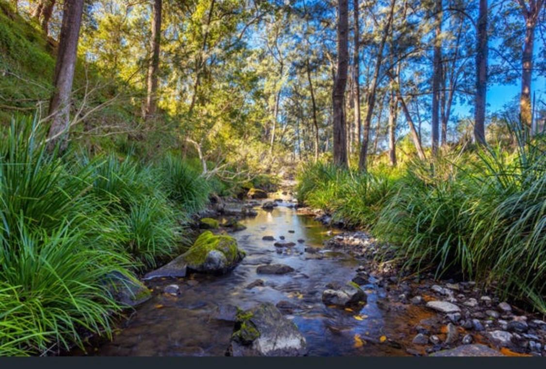 Creek Side Campground