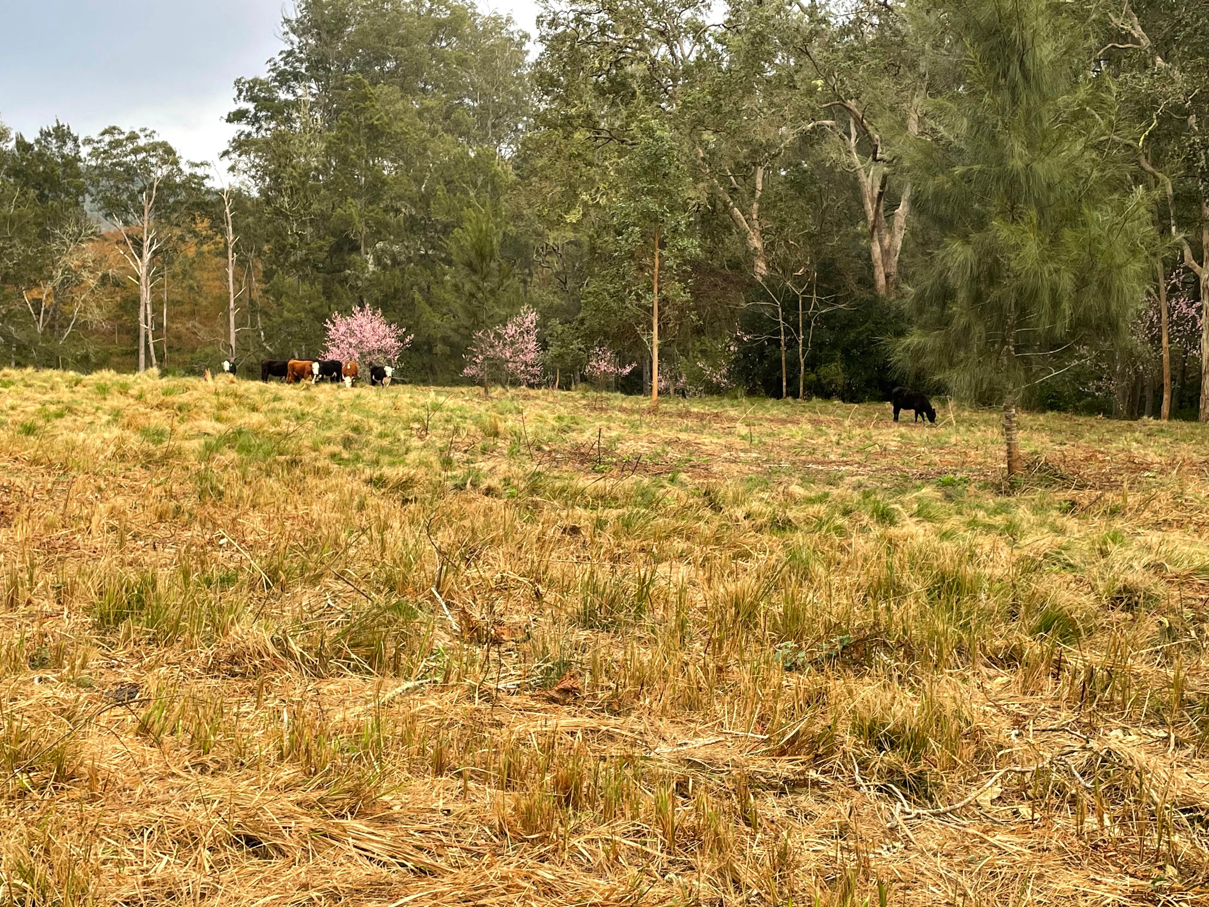 Creek Side Campground