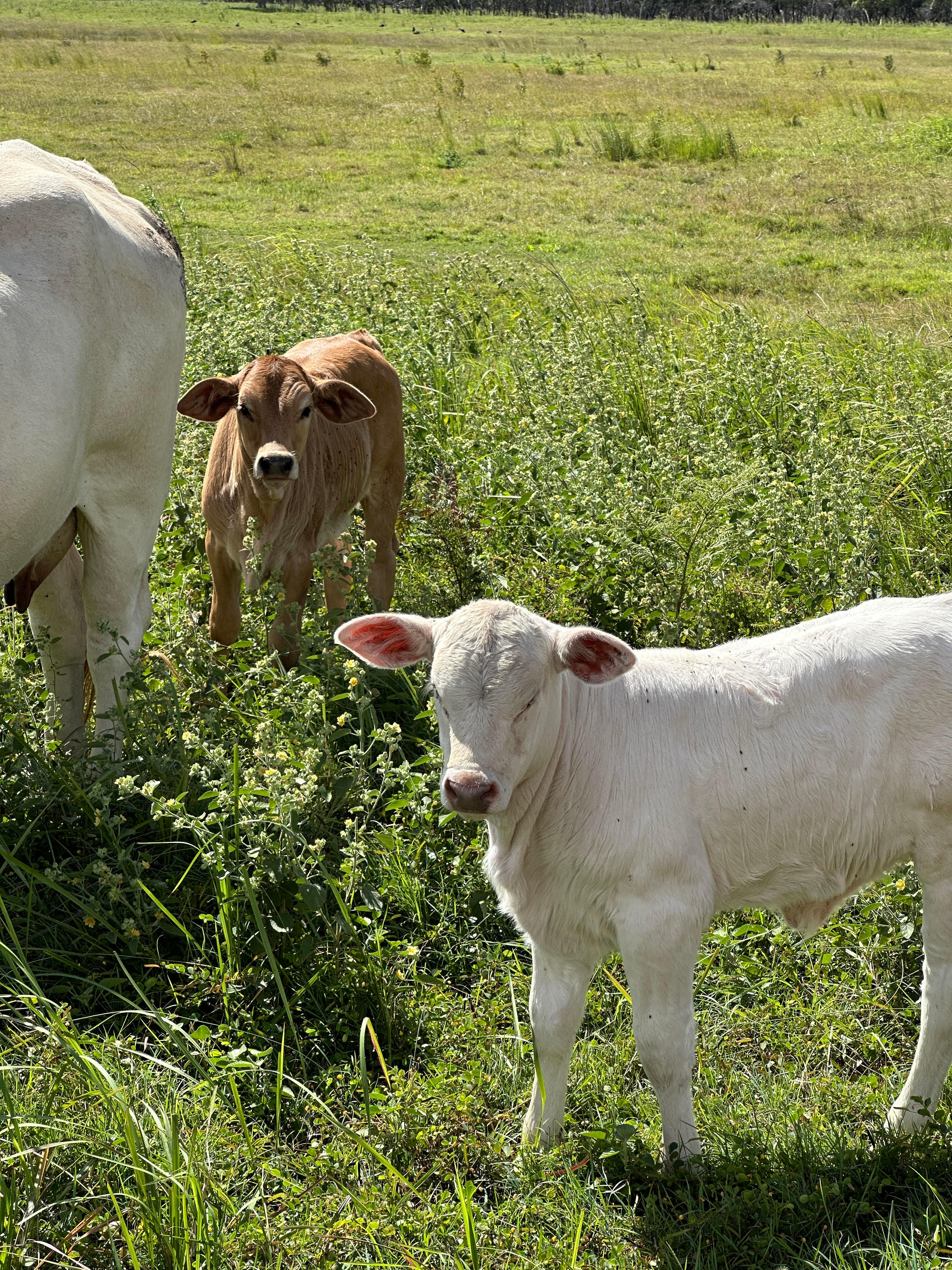 Breathe At Rules Beach