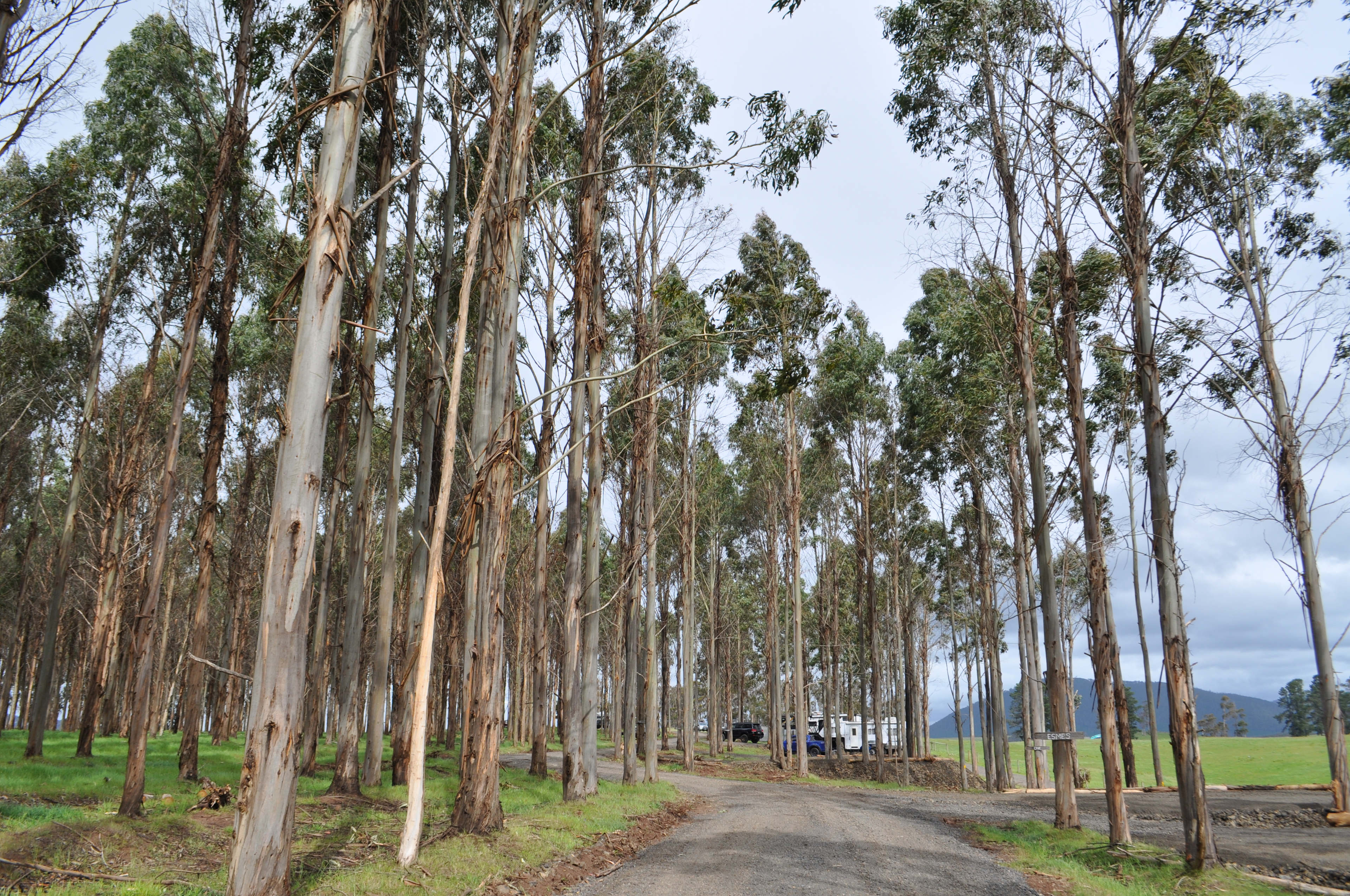 Mabel's Paddock RV Farm Stay