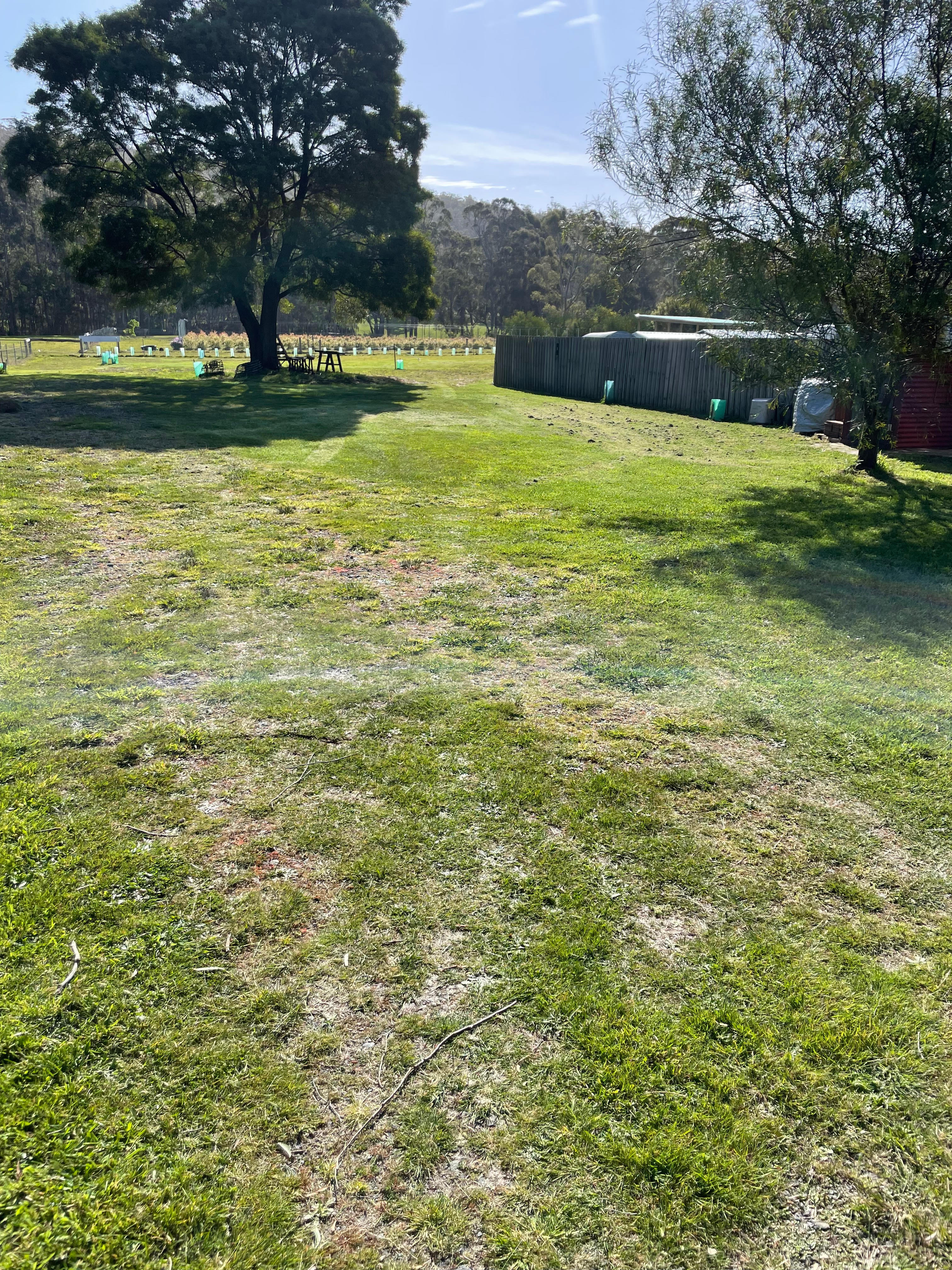 PC Campsites Taranna