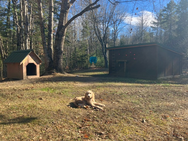 Traveling Family Nature Hub