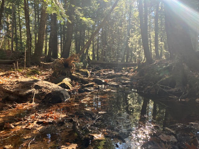 Traveling Family Nature Hub