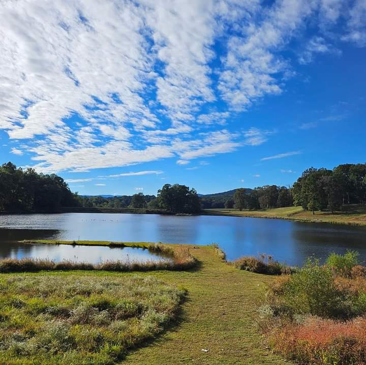 sunset valley fish swim  and camp