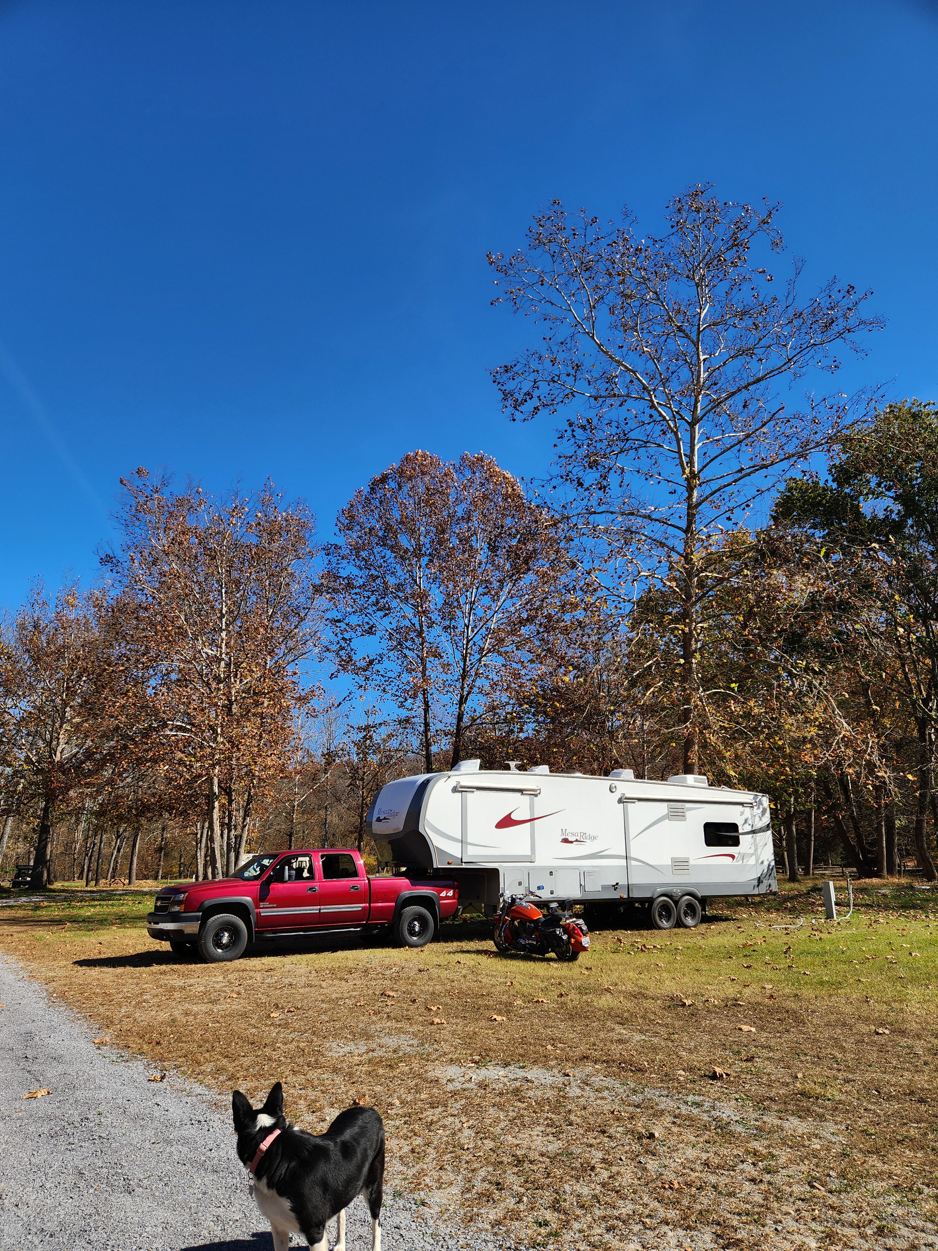 Swedish Lilac Campground & Events