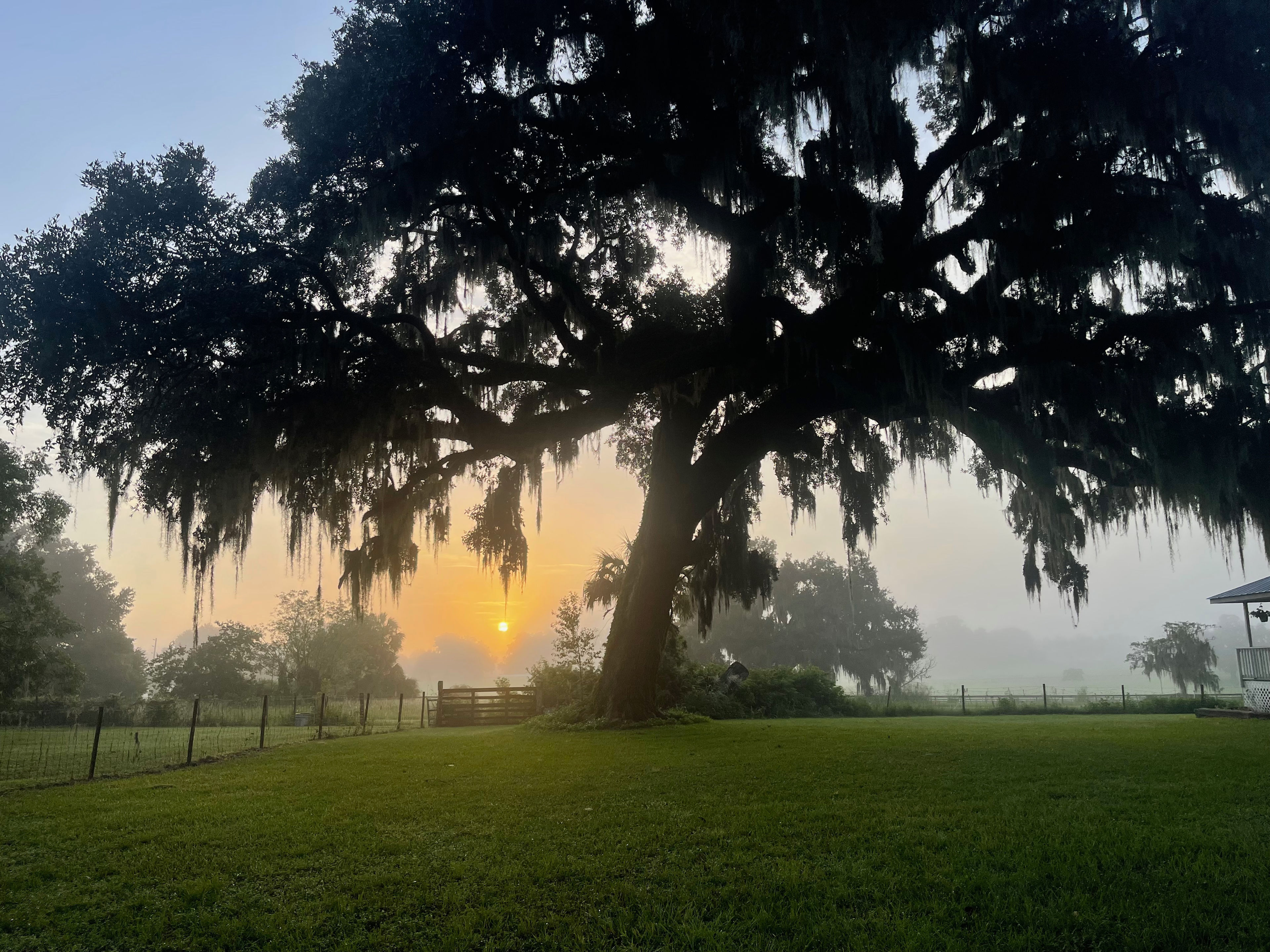 Ancient Oaks Retreat