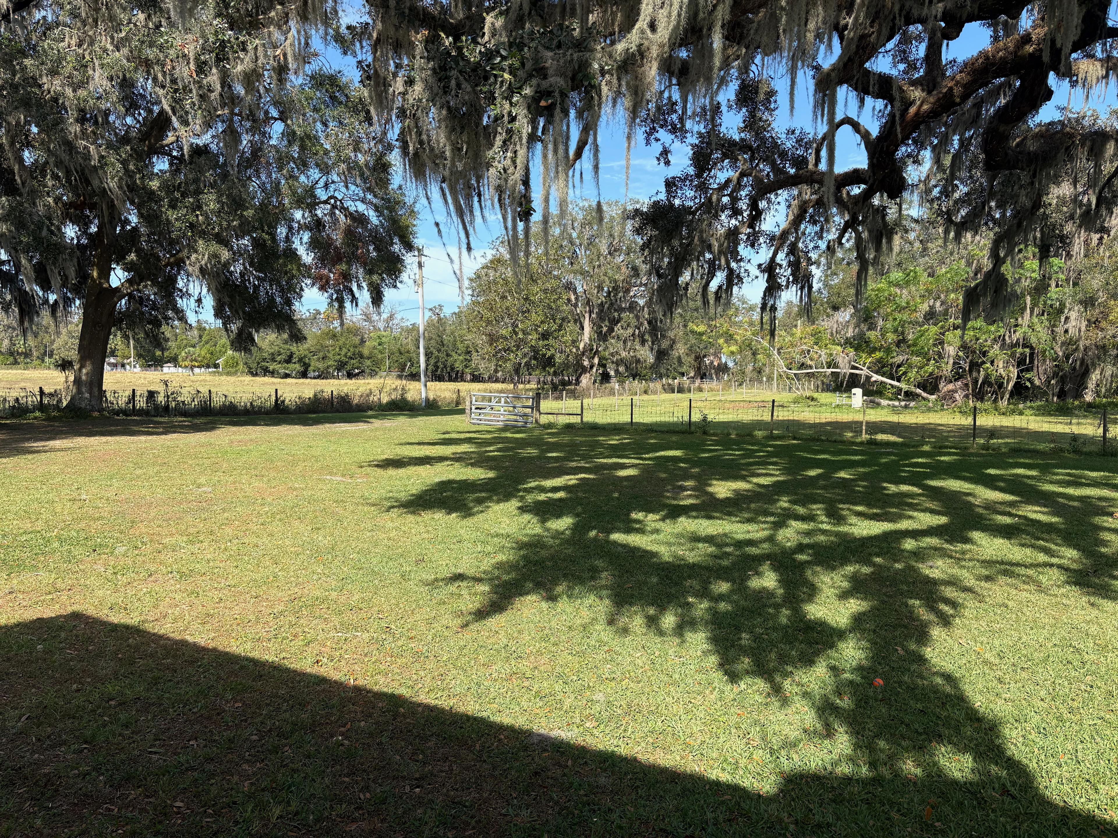 Ancient Oaks Retreat