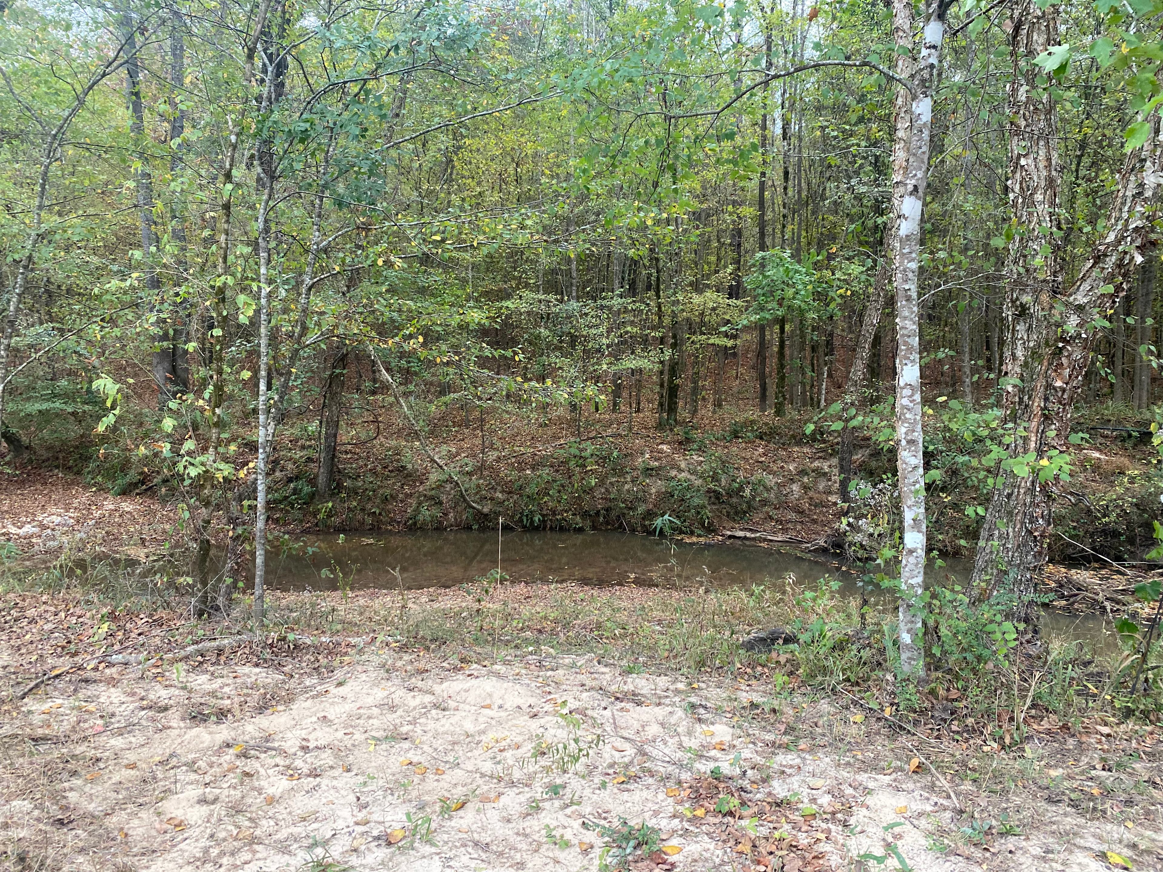 Willow Creek Camping