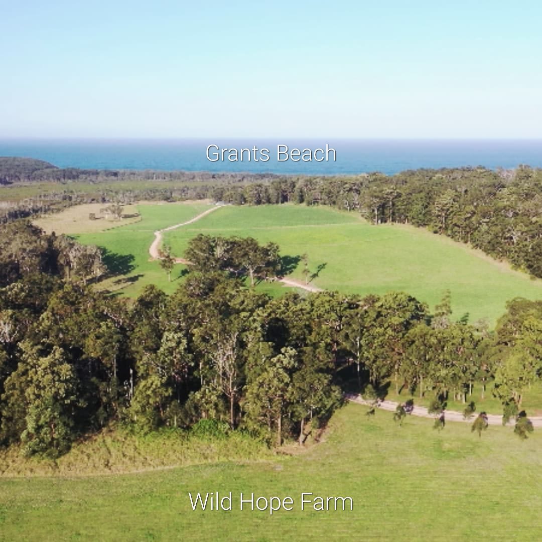 Wild Hope Farm