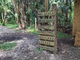 Bliss Barn at Triple G Ranch