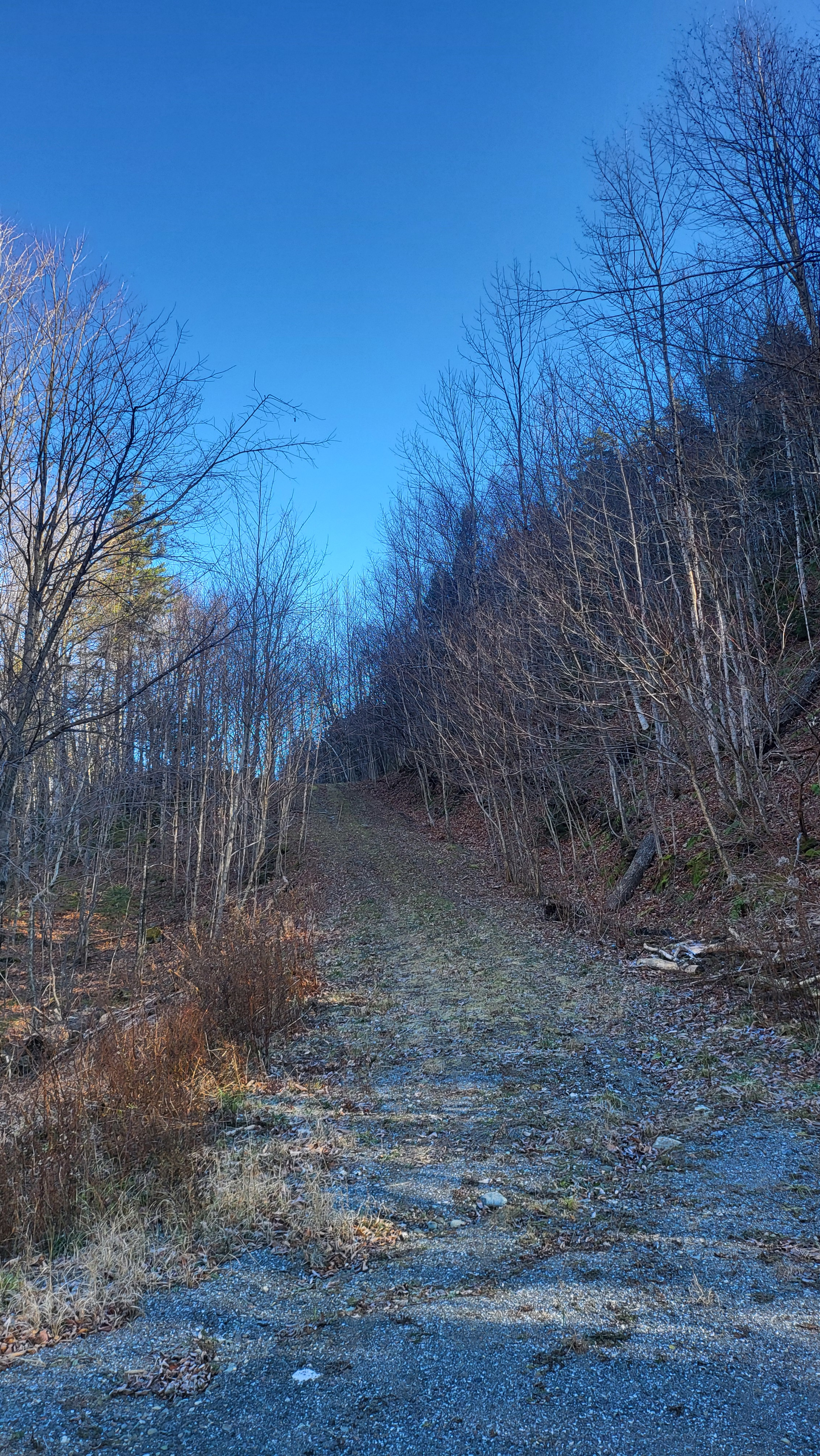 Awesome Campsite - $20