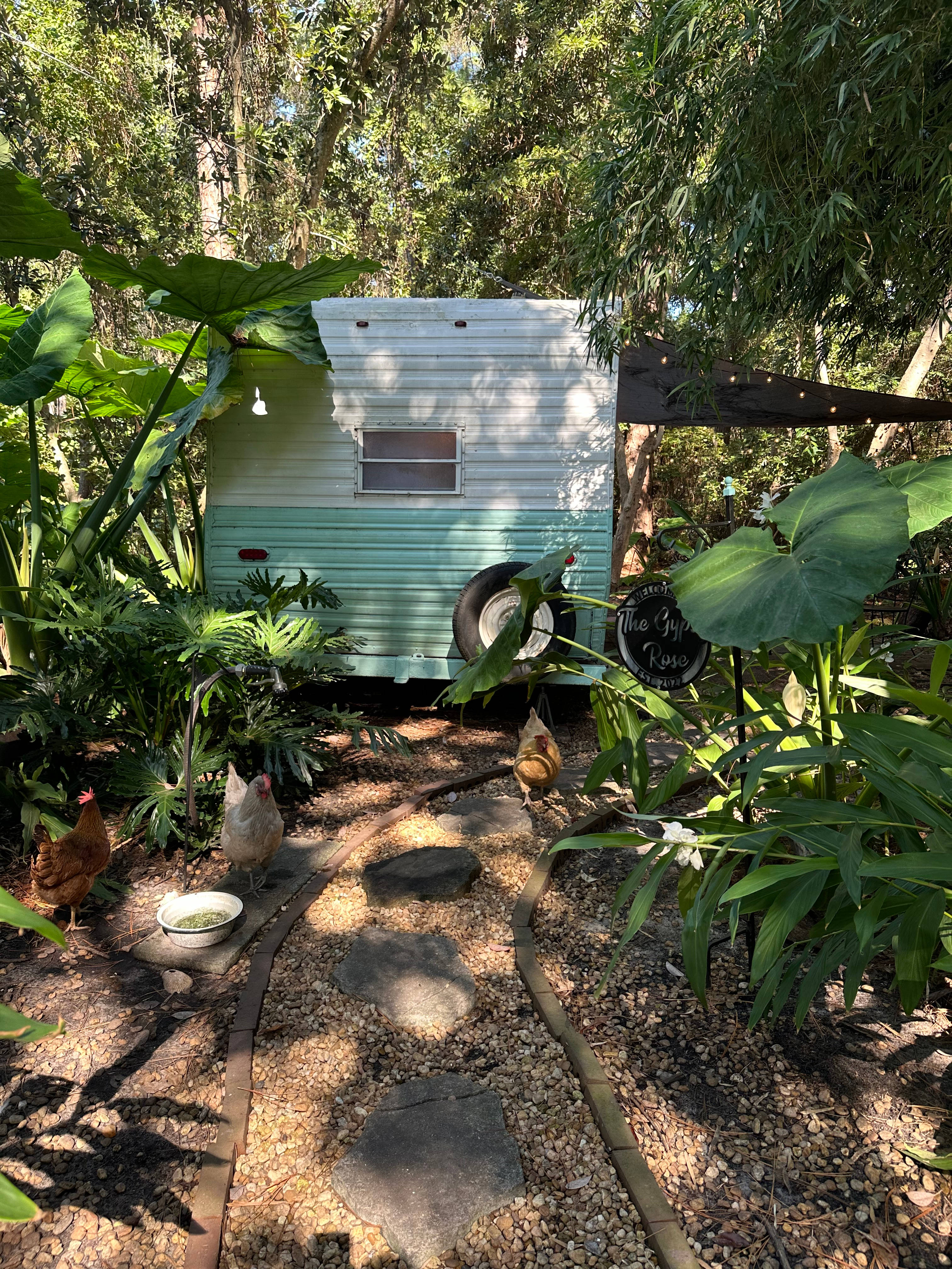 You will be greet by a few hens (no roosters), a couple of cats, and a small dog.