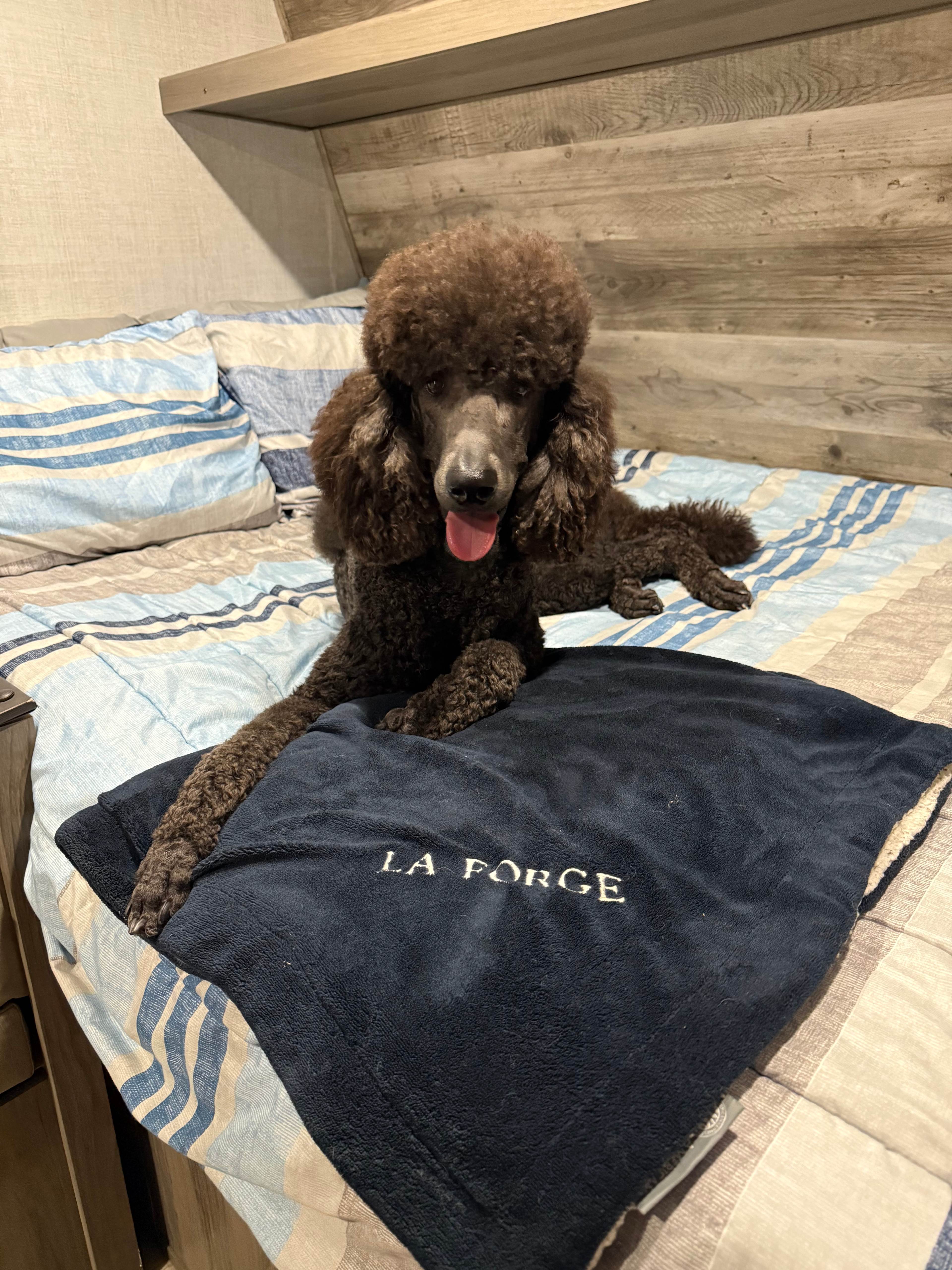 Touch of Heaven Camper